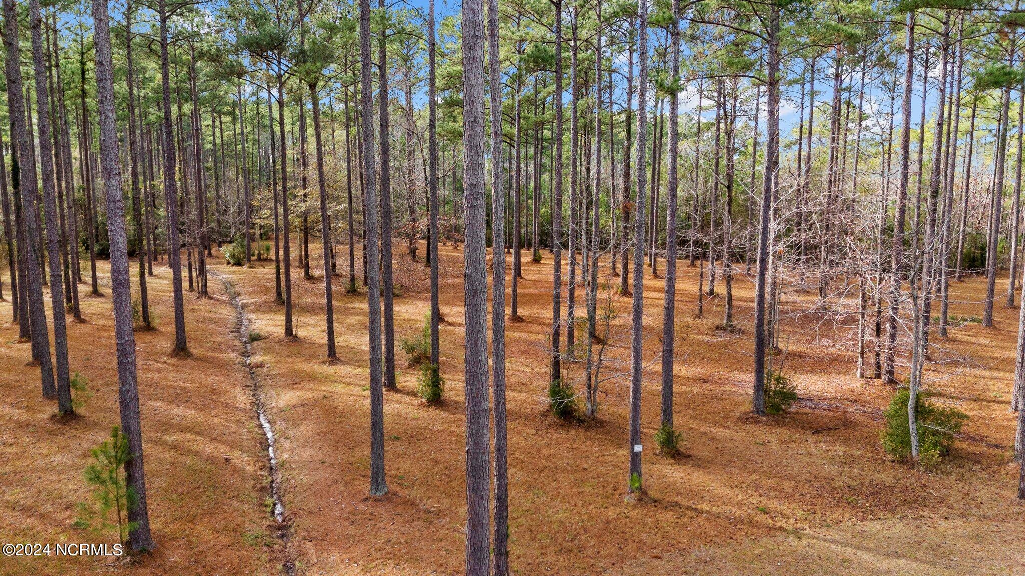 137 Lot 31 Ocracoke Drive,Oriental