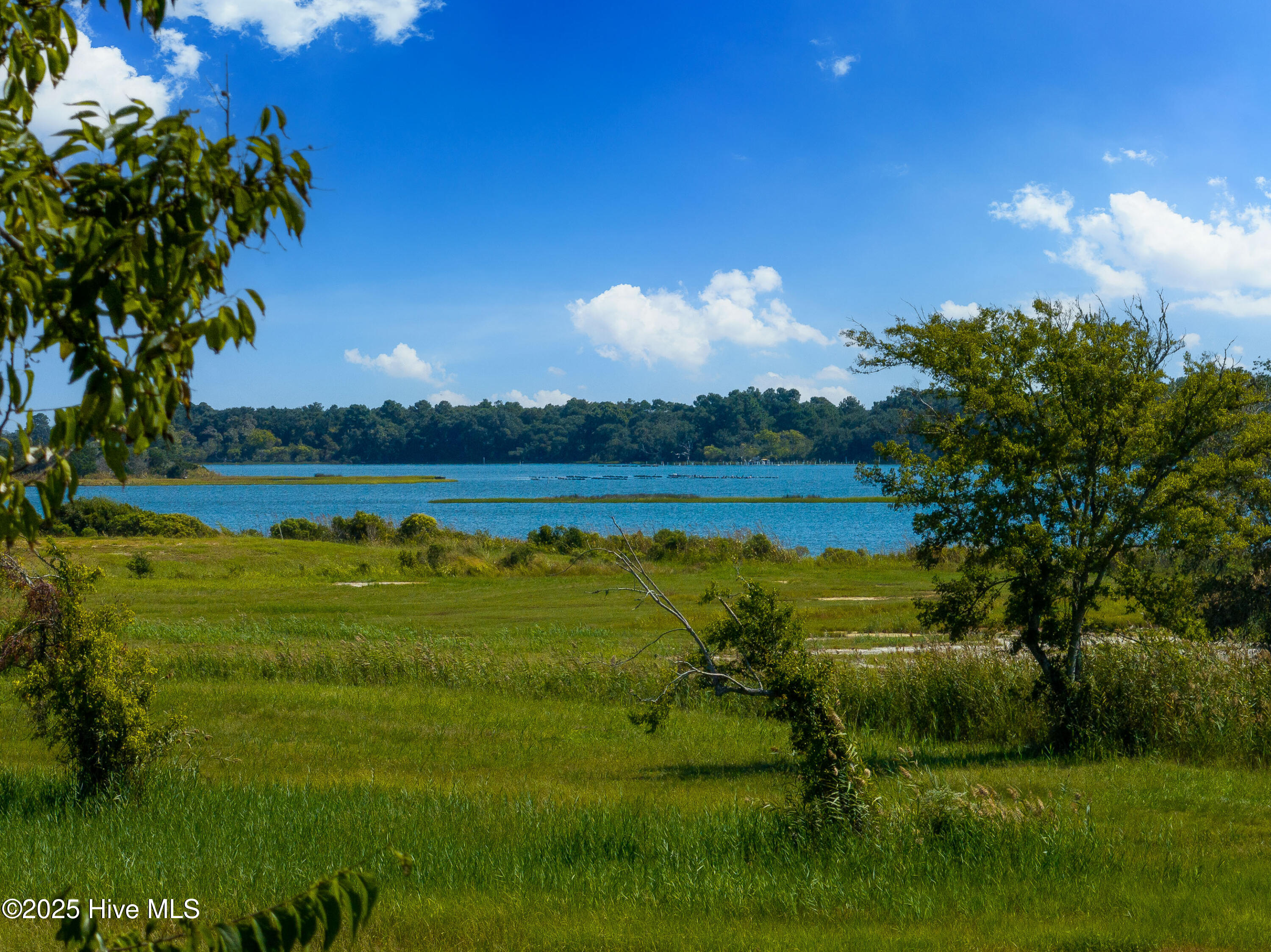 100557096 | Photo 71