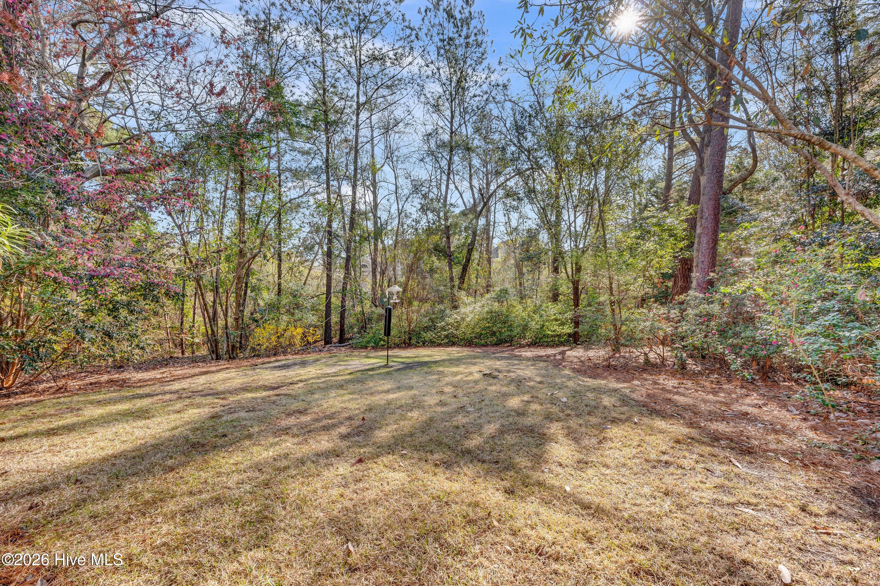 100559758 | Photo 51