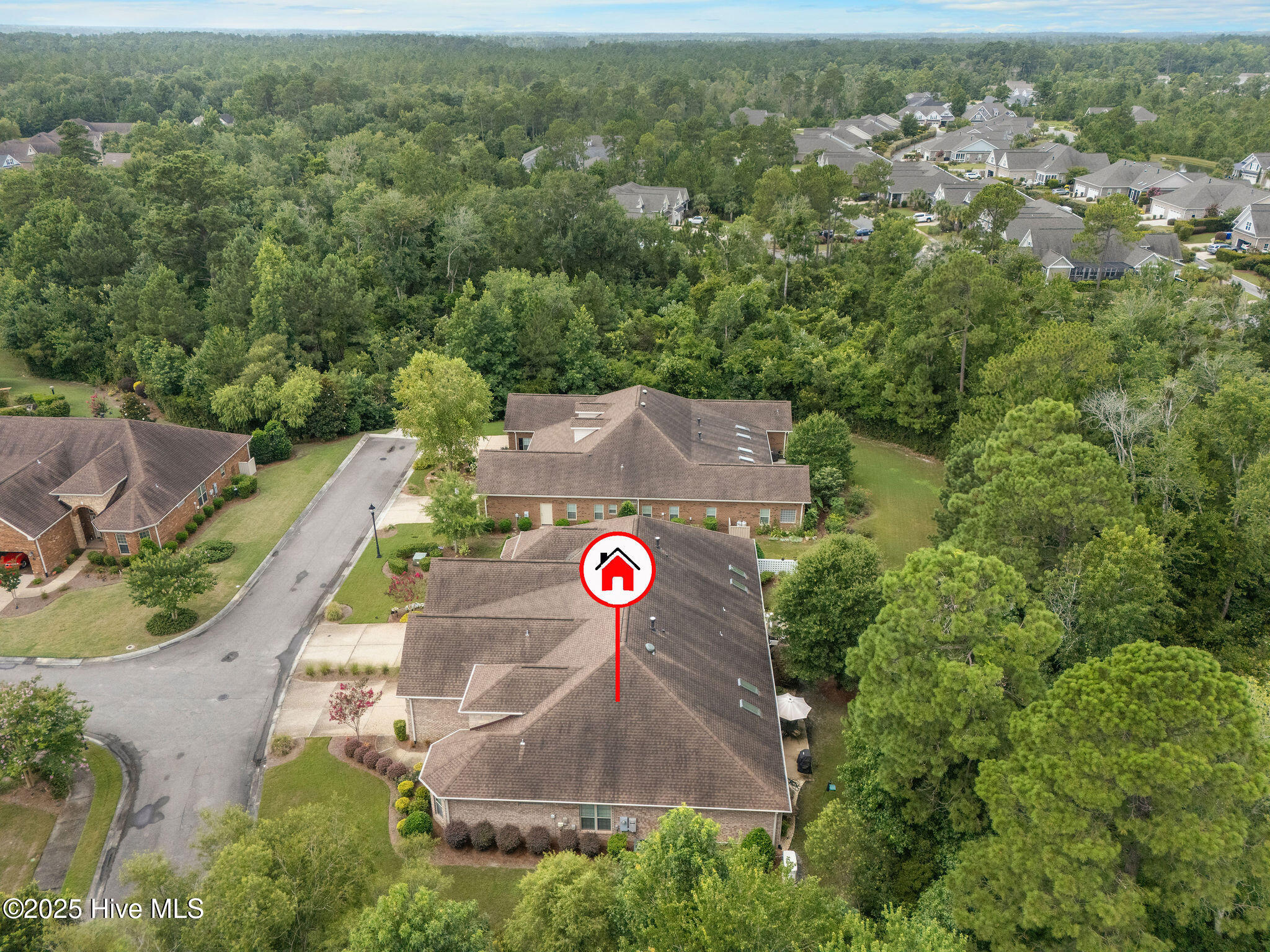 100520063 | Photo 58