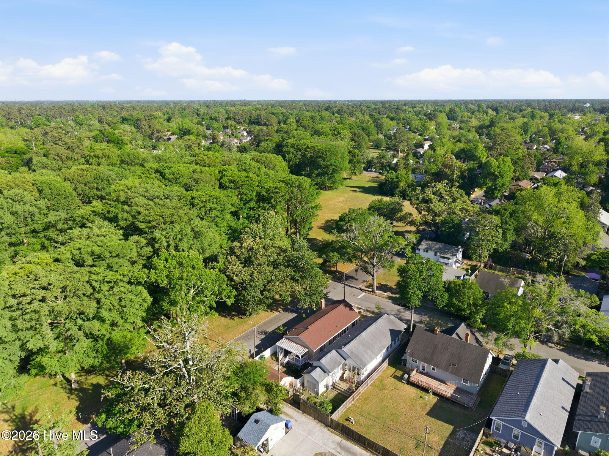 100569211 | Photo 36