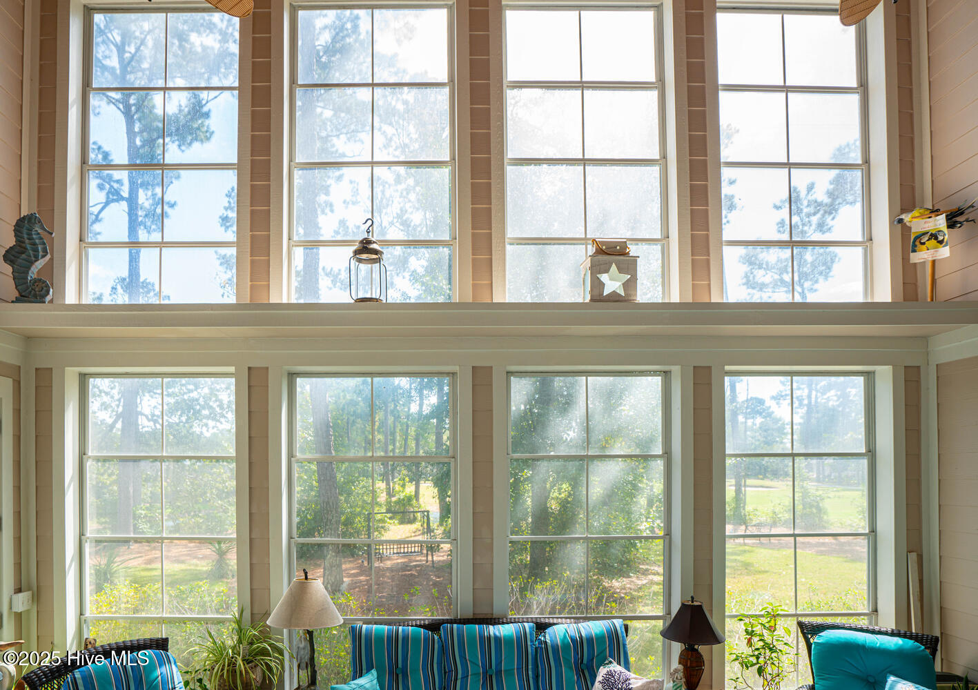 100534571 | Photo 35