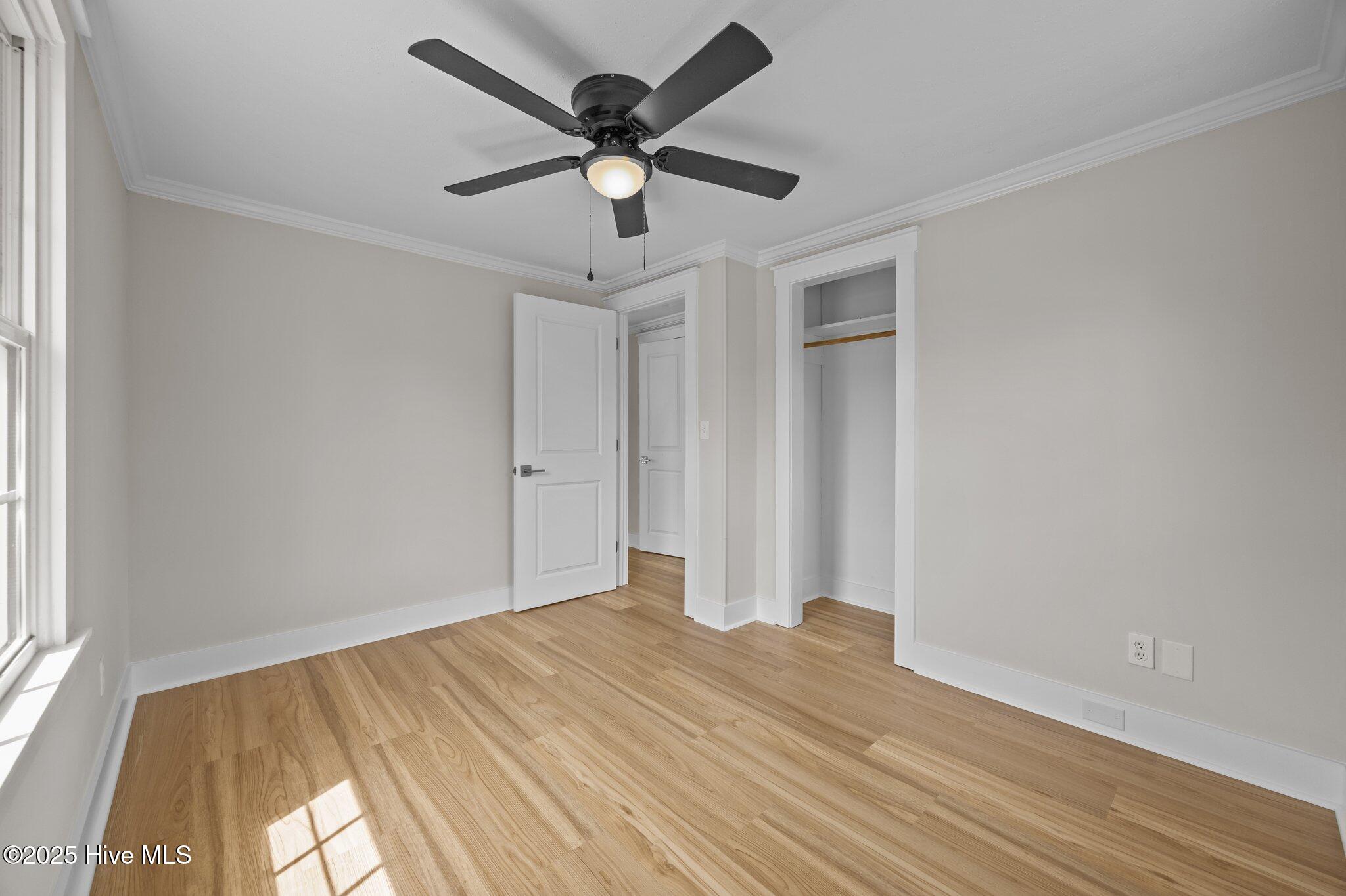 100499263 | Photo 24