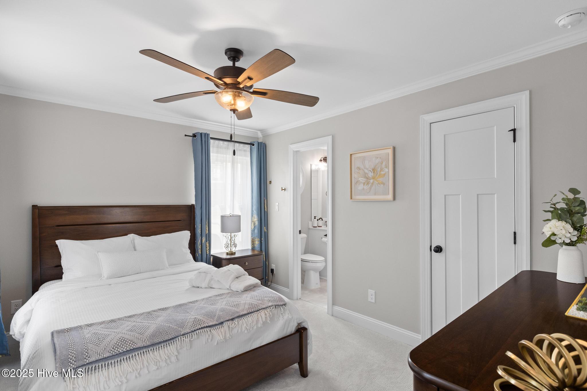 100511238 | Photo 18