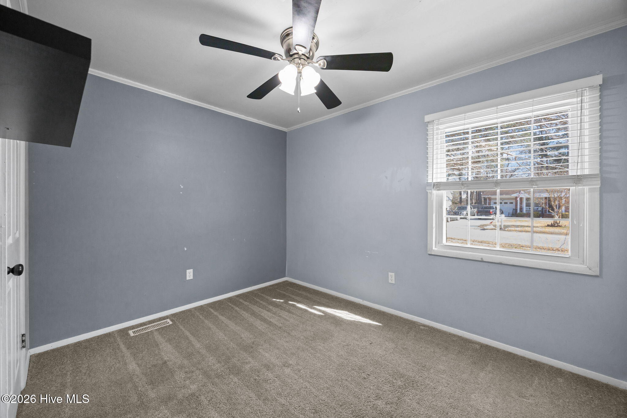 100554228 | Photo 16