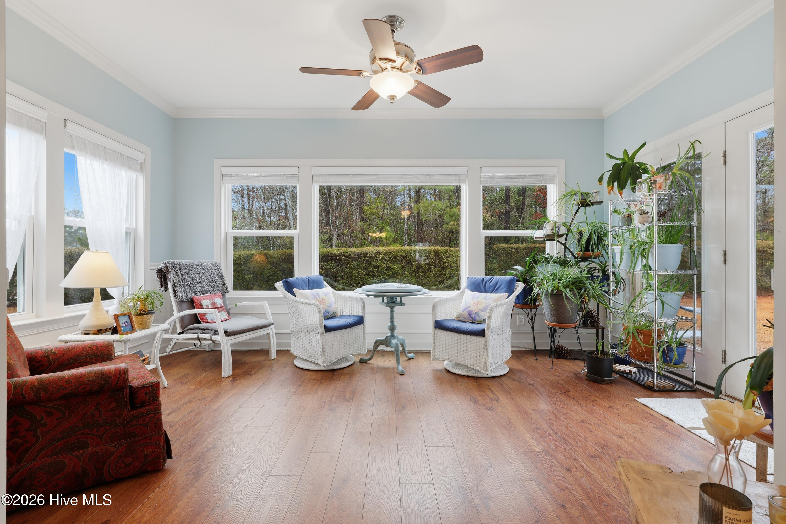 100557965 | Photo 34