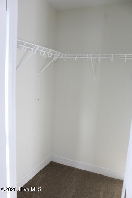 100548455 | Photo 45