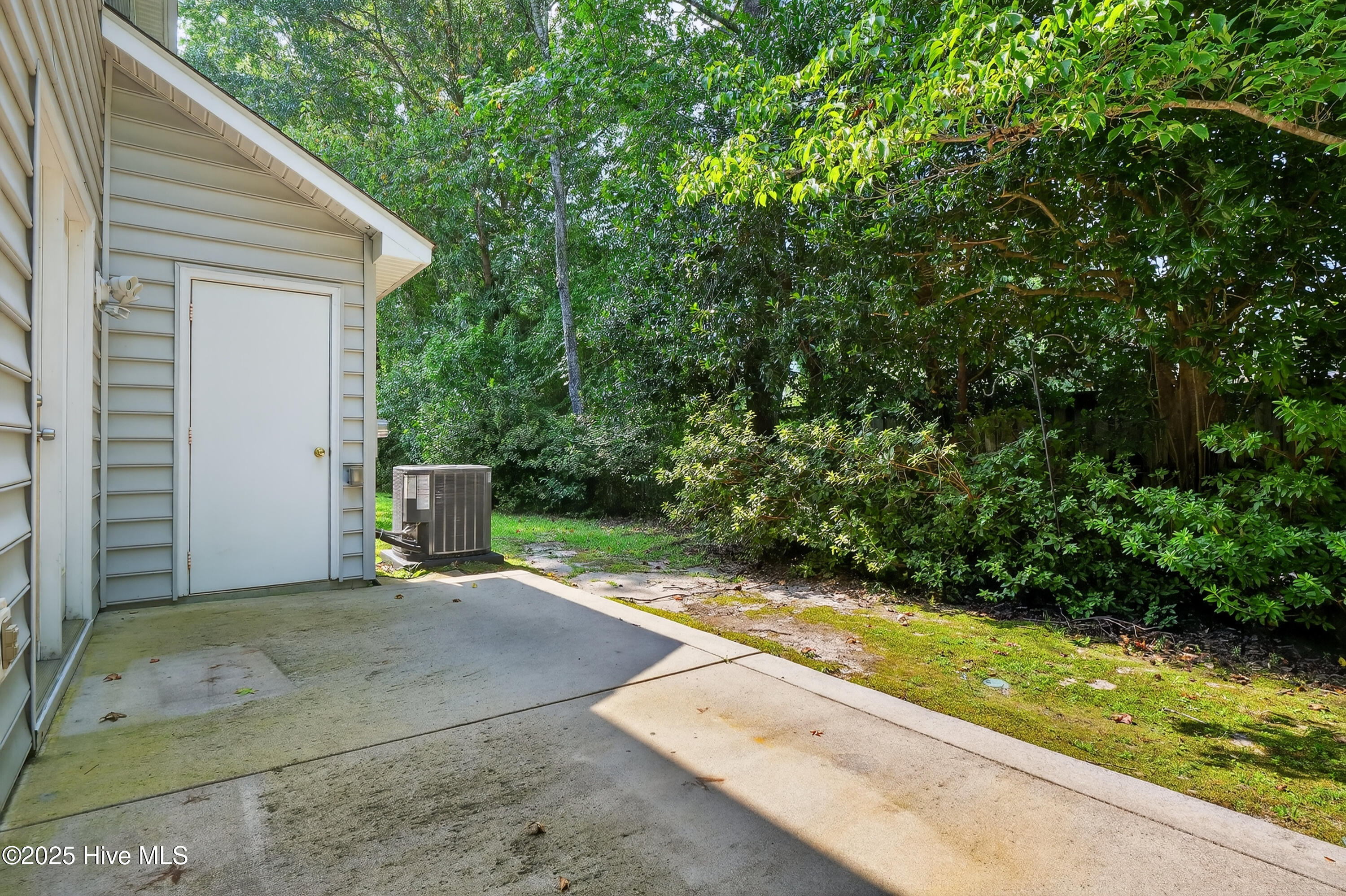 100526304 | Photo 26