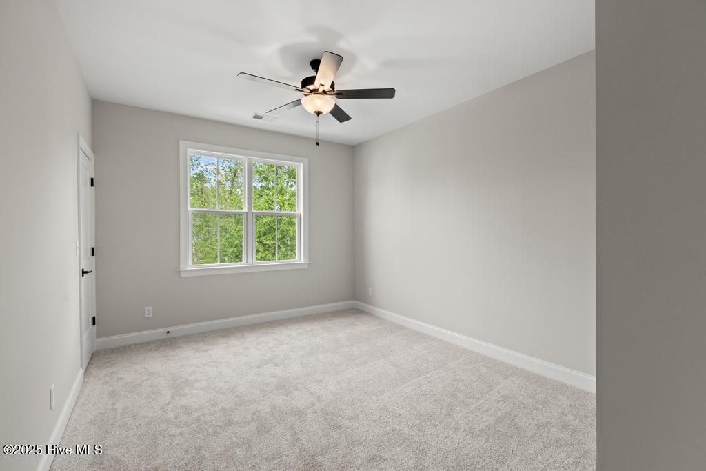 100535859 | Photo 30