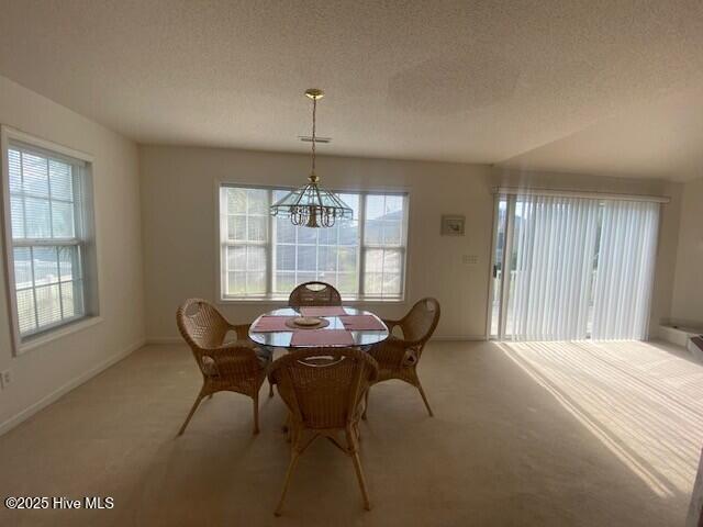 100532170 | Photo 10