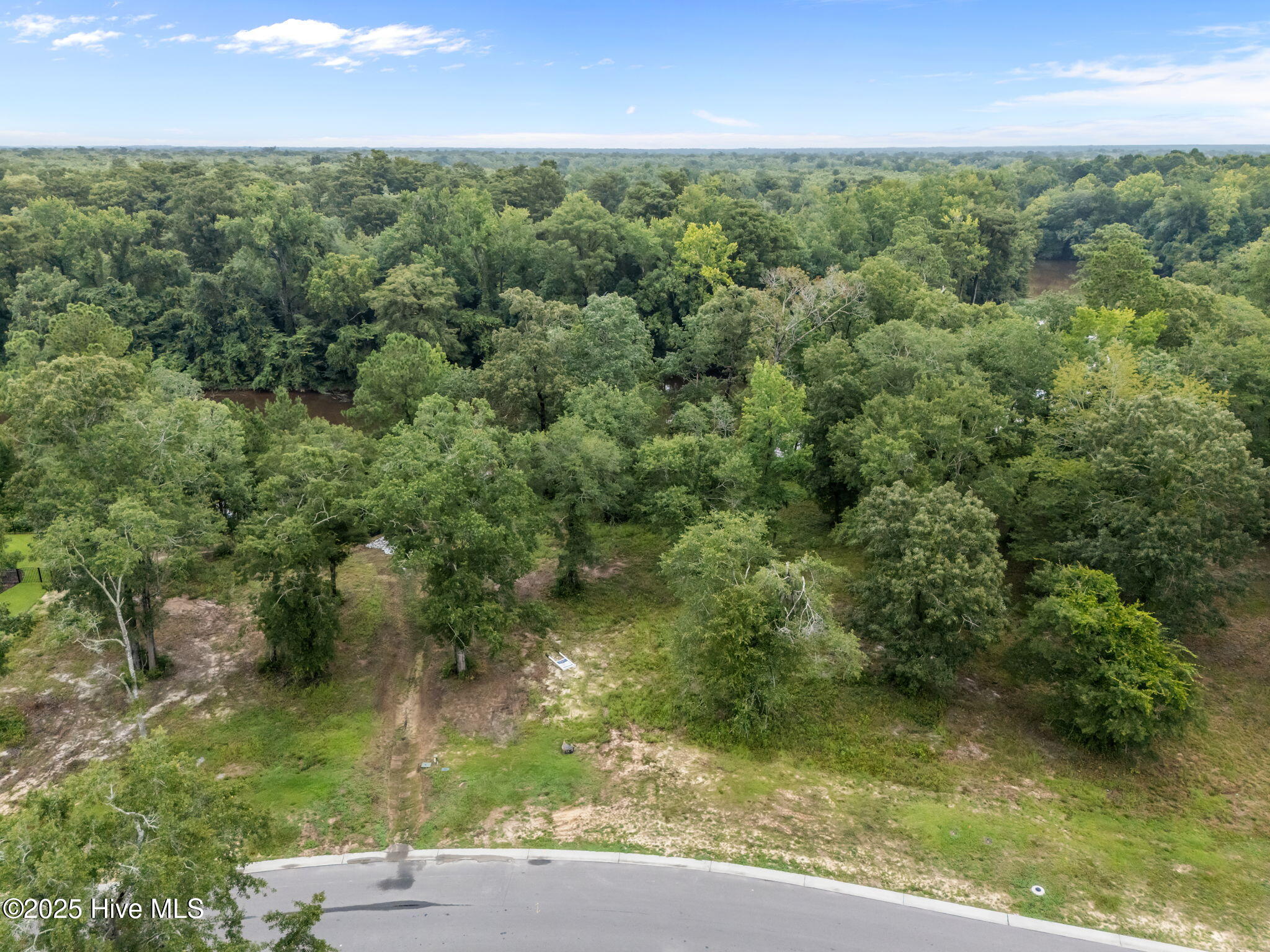 100523217 | Photo 17