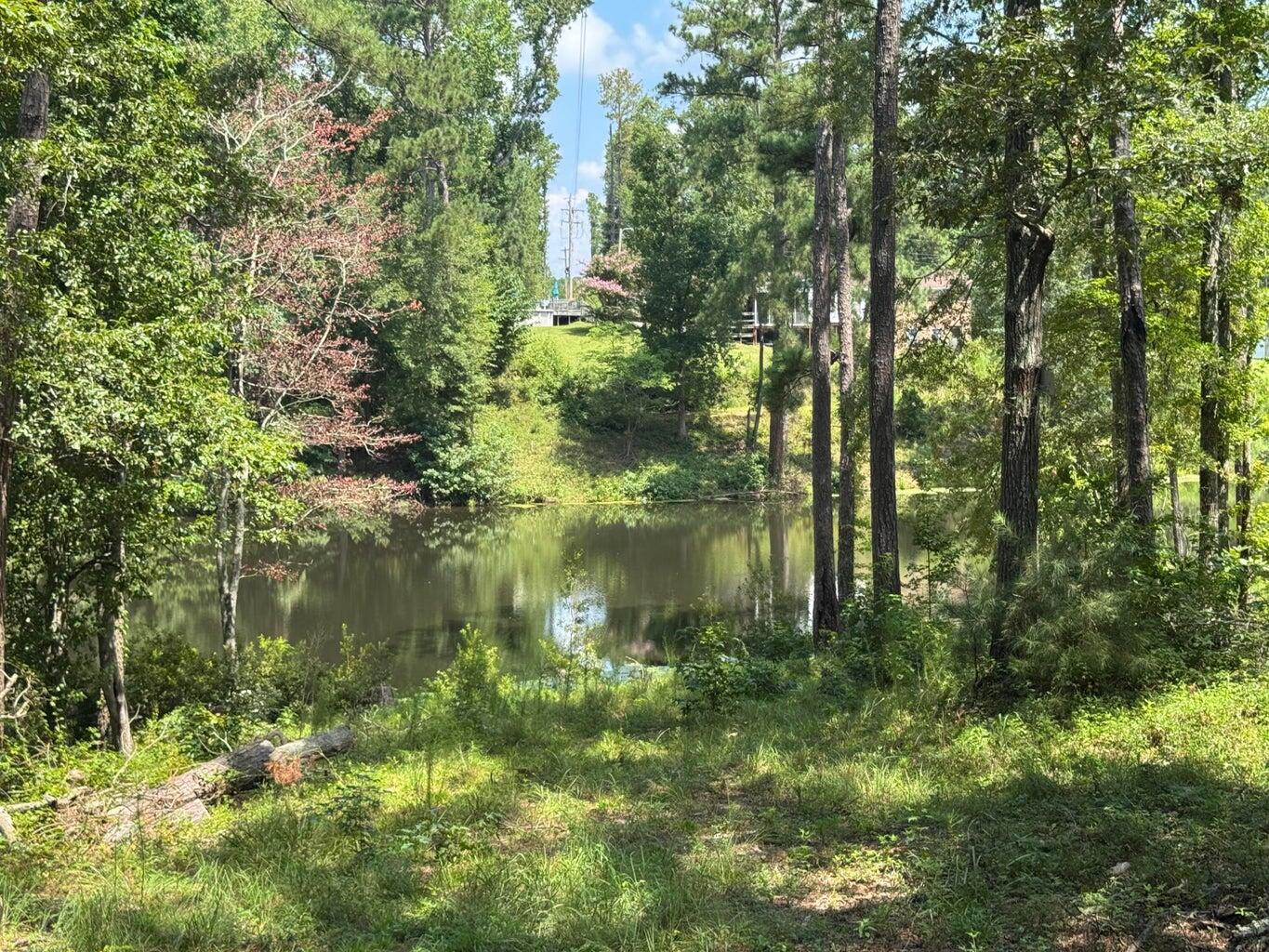 Homes for sale in Trenton, SC | 0 Hummingbird Dr, Trenton, SC 29847 | MLS# 546015