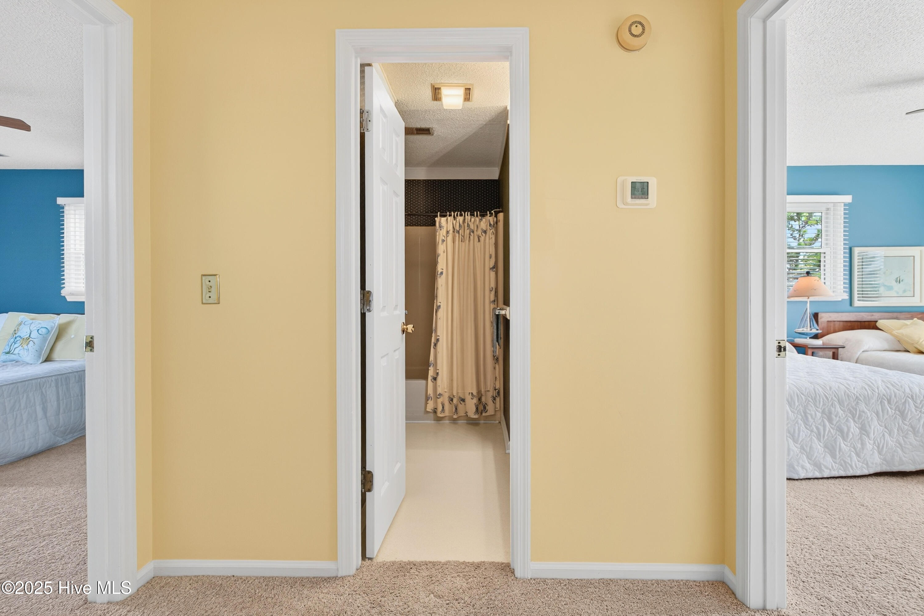 100535057 | Photo 17