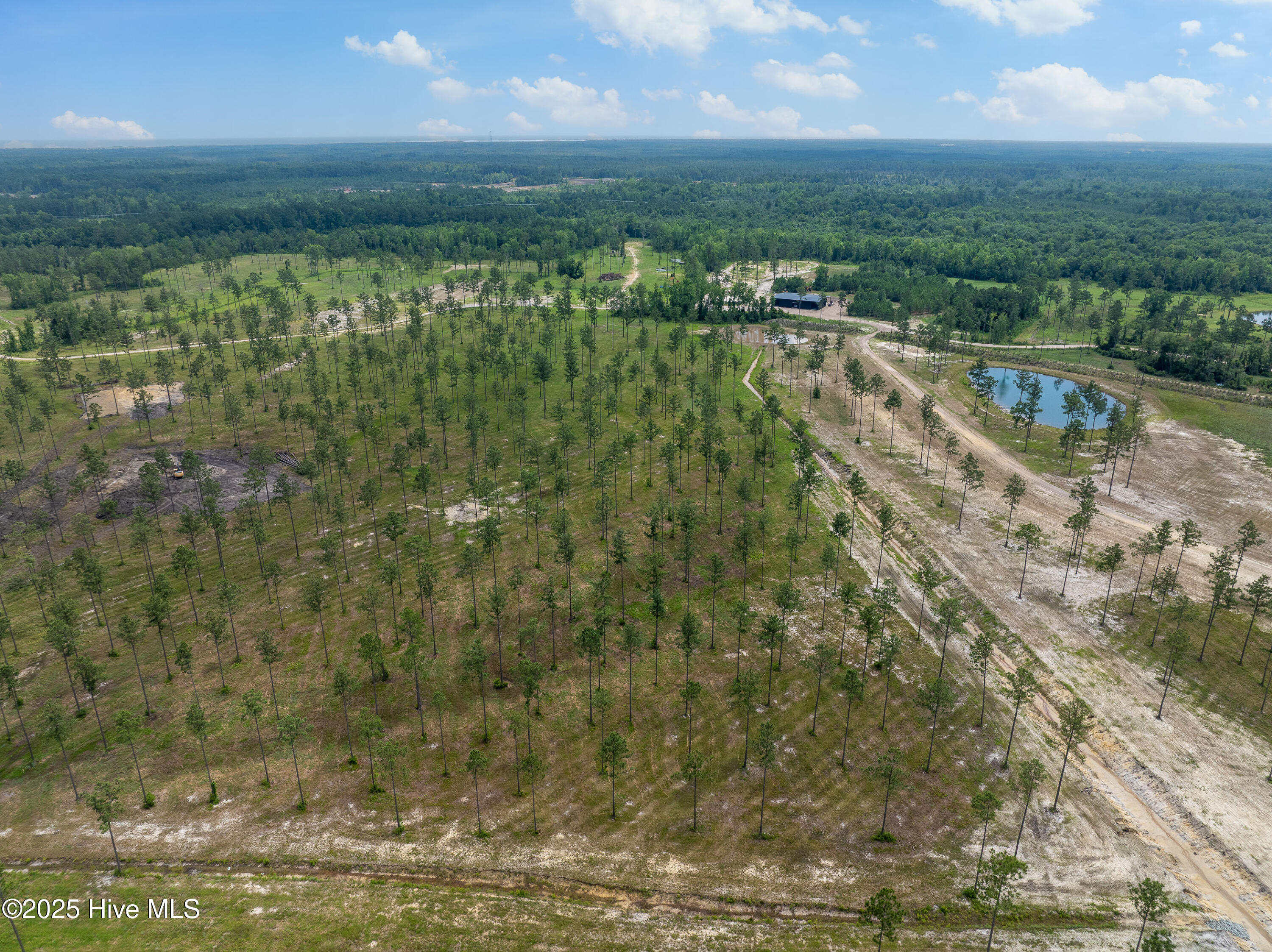 100520208 | Photo 19