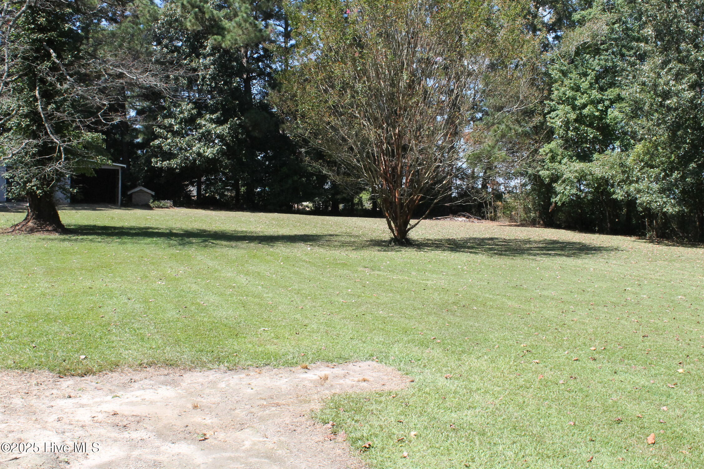 100531539 | Photo 16