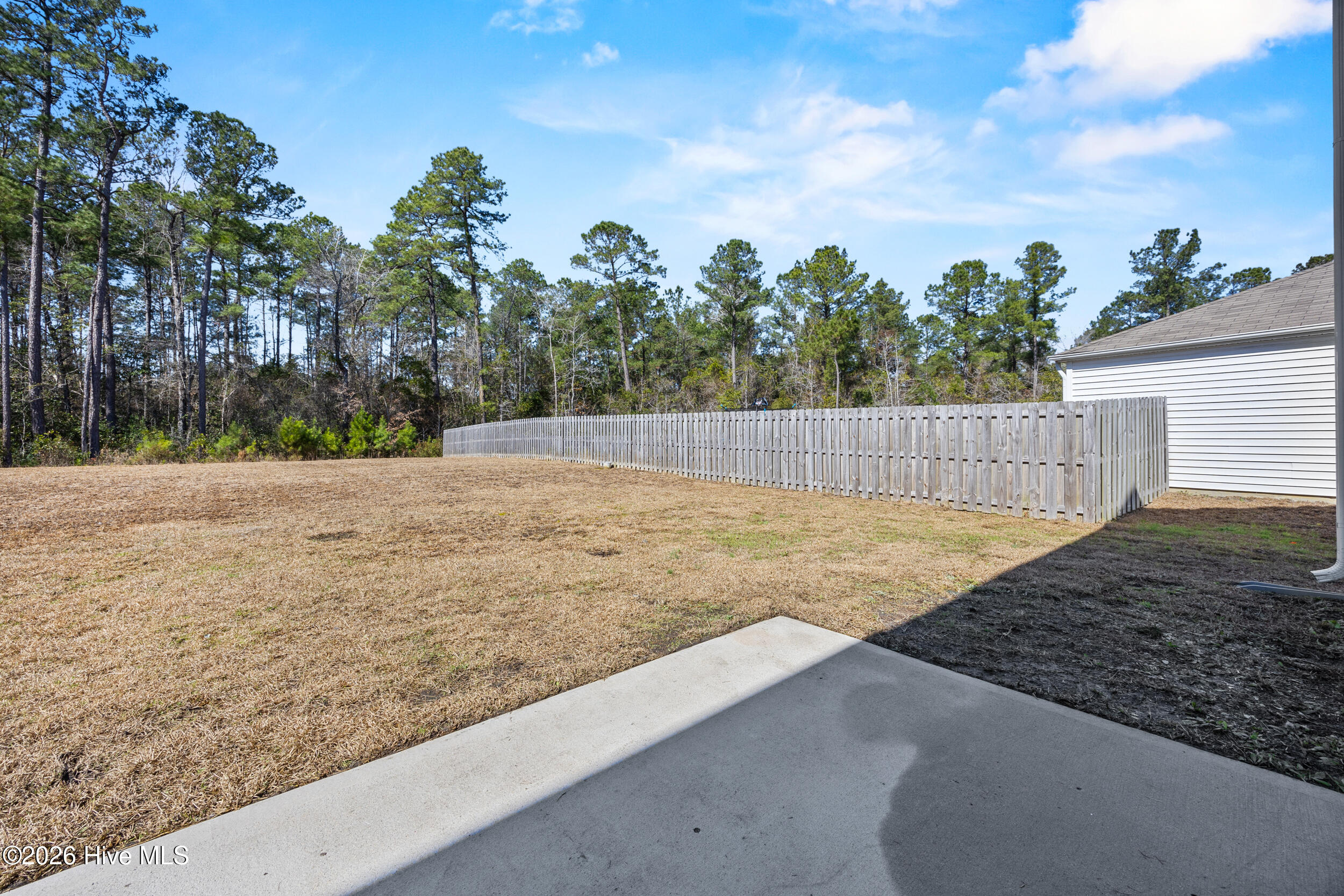 100556435 | Photo 43