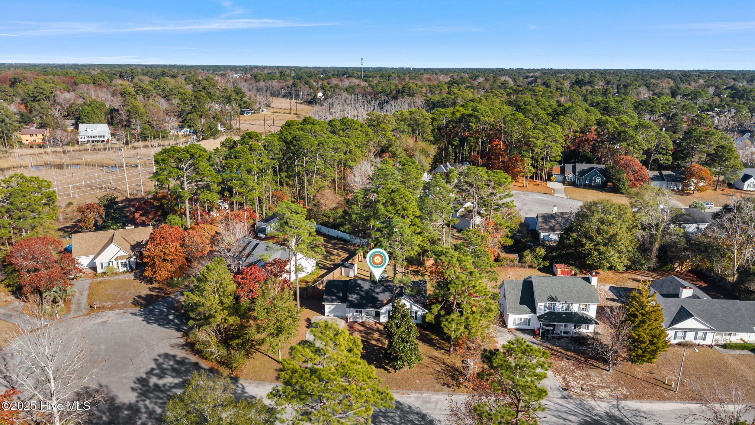 100545167 | Photo 32