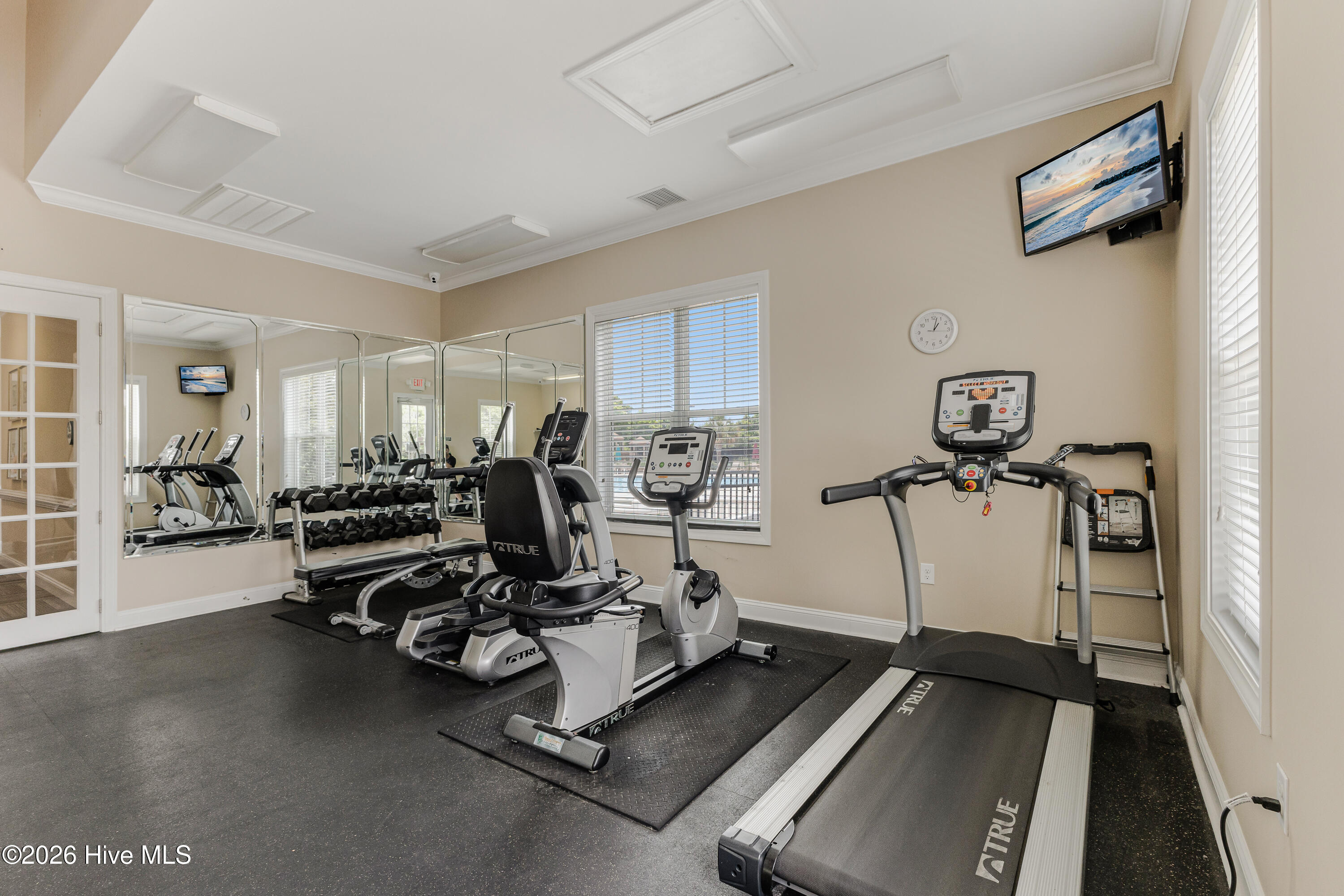 100558549 | Photo 21