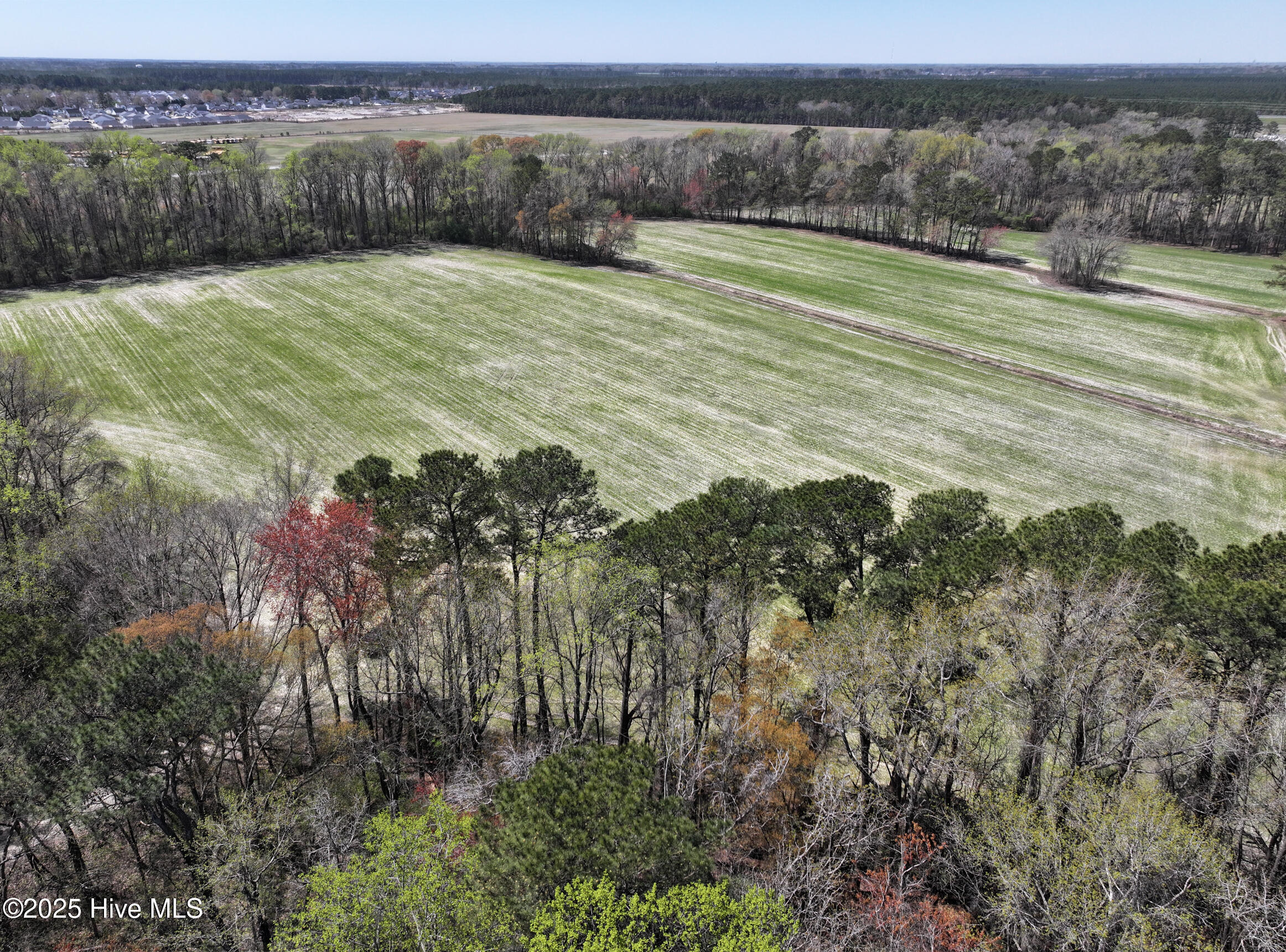 0 Allen Road, Greenville, NC, 27834