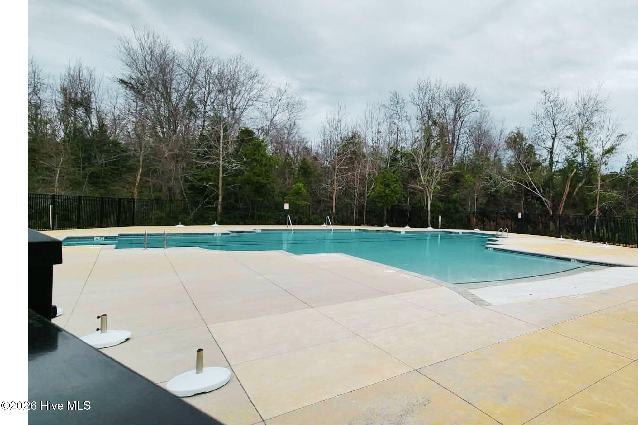 100548521 | Photo 34