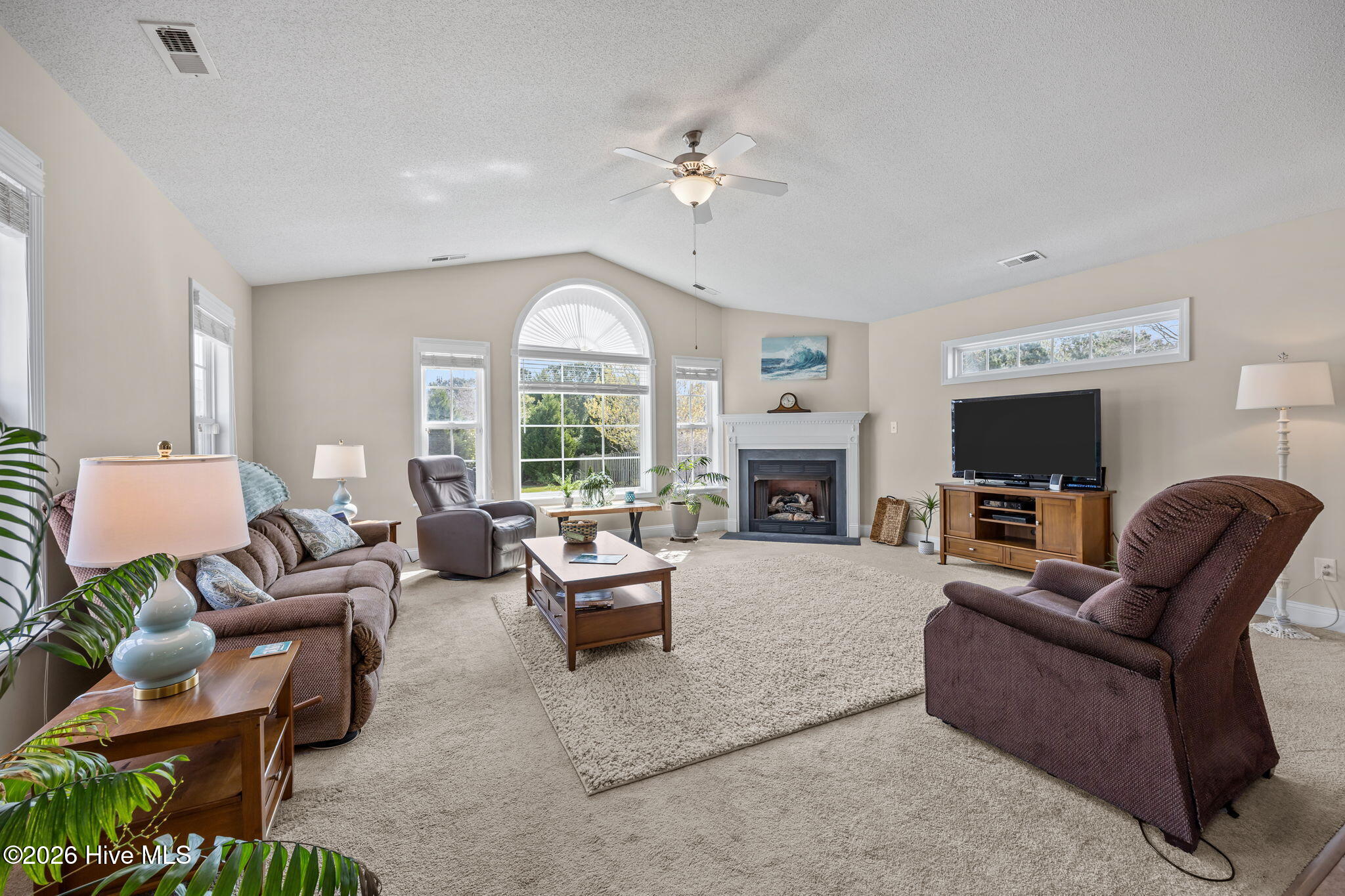 100570536 | Photo 34