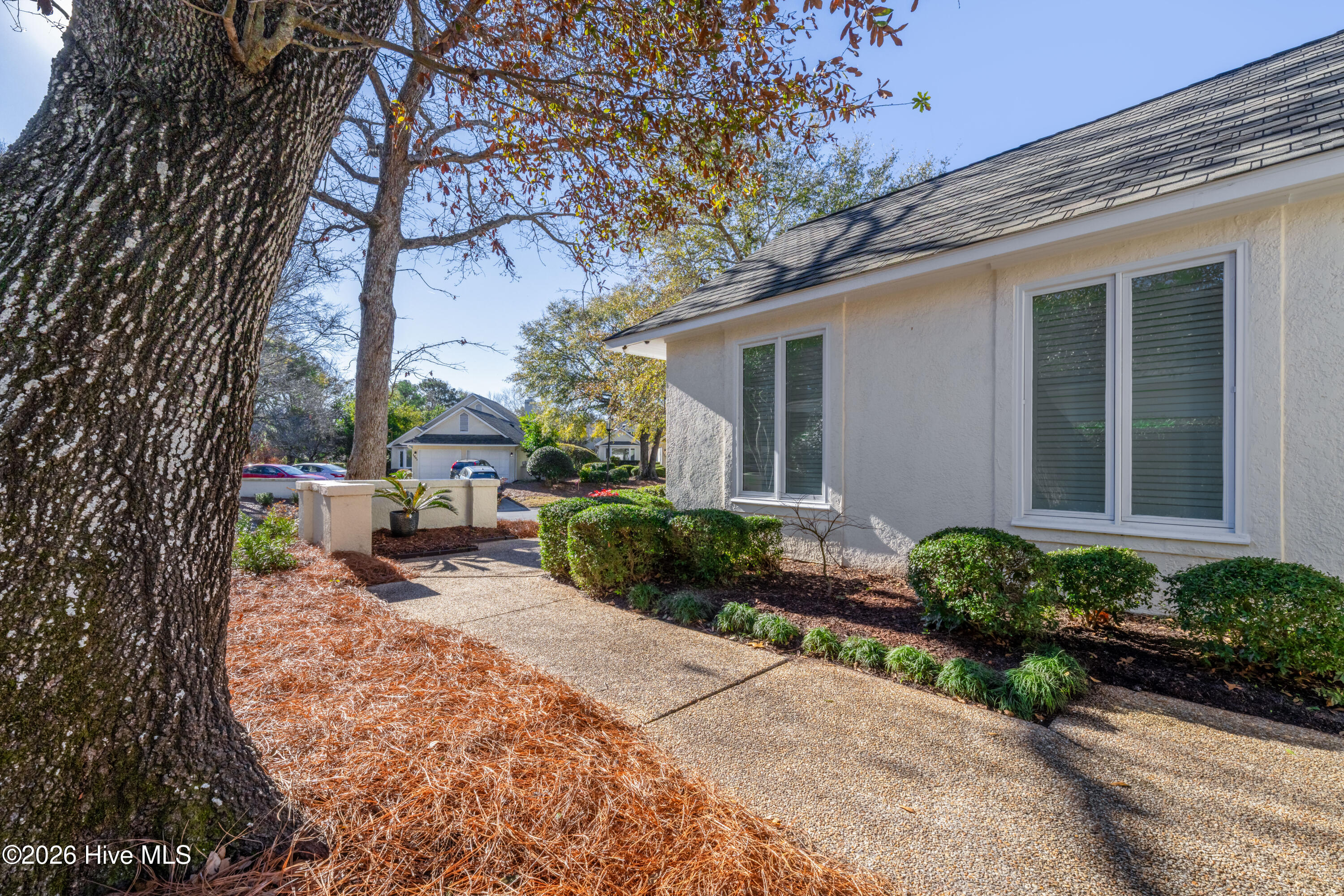 100553982 | Photo 58