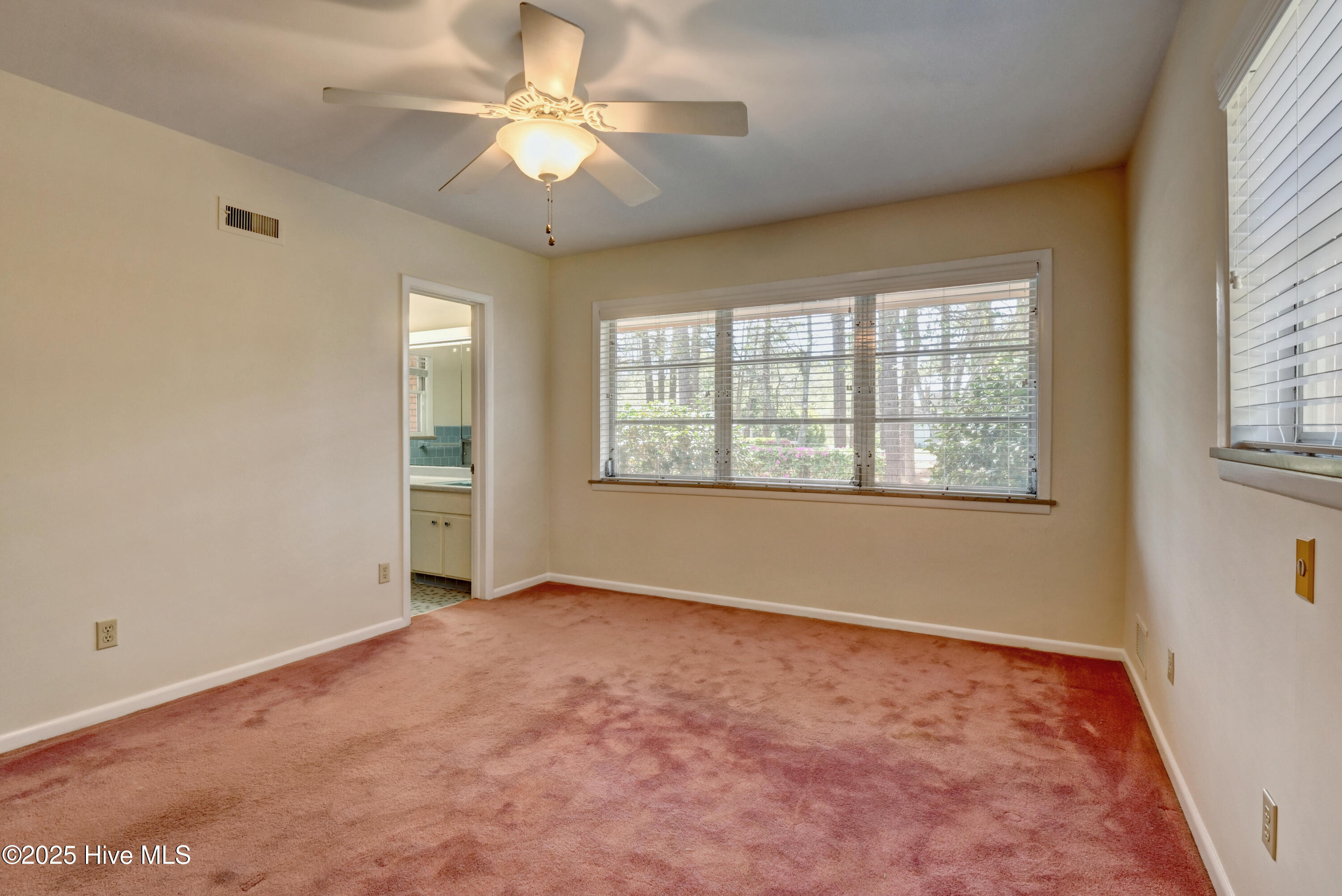 100536317 | Photo 21