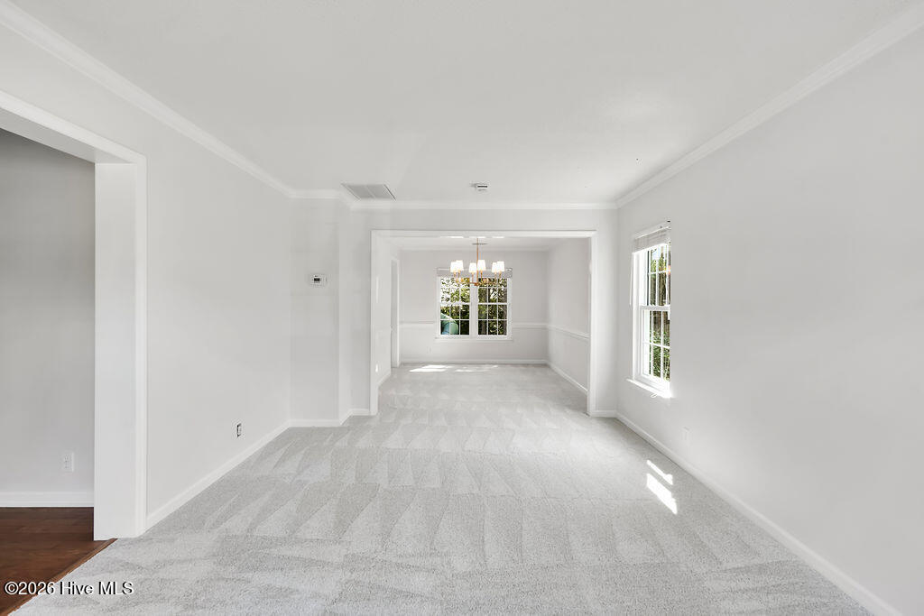 100567084 | Photo 21