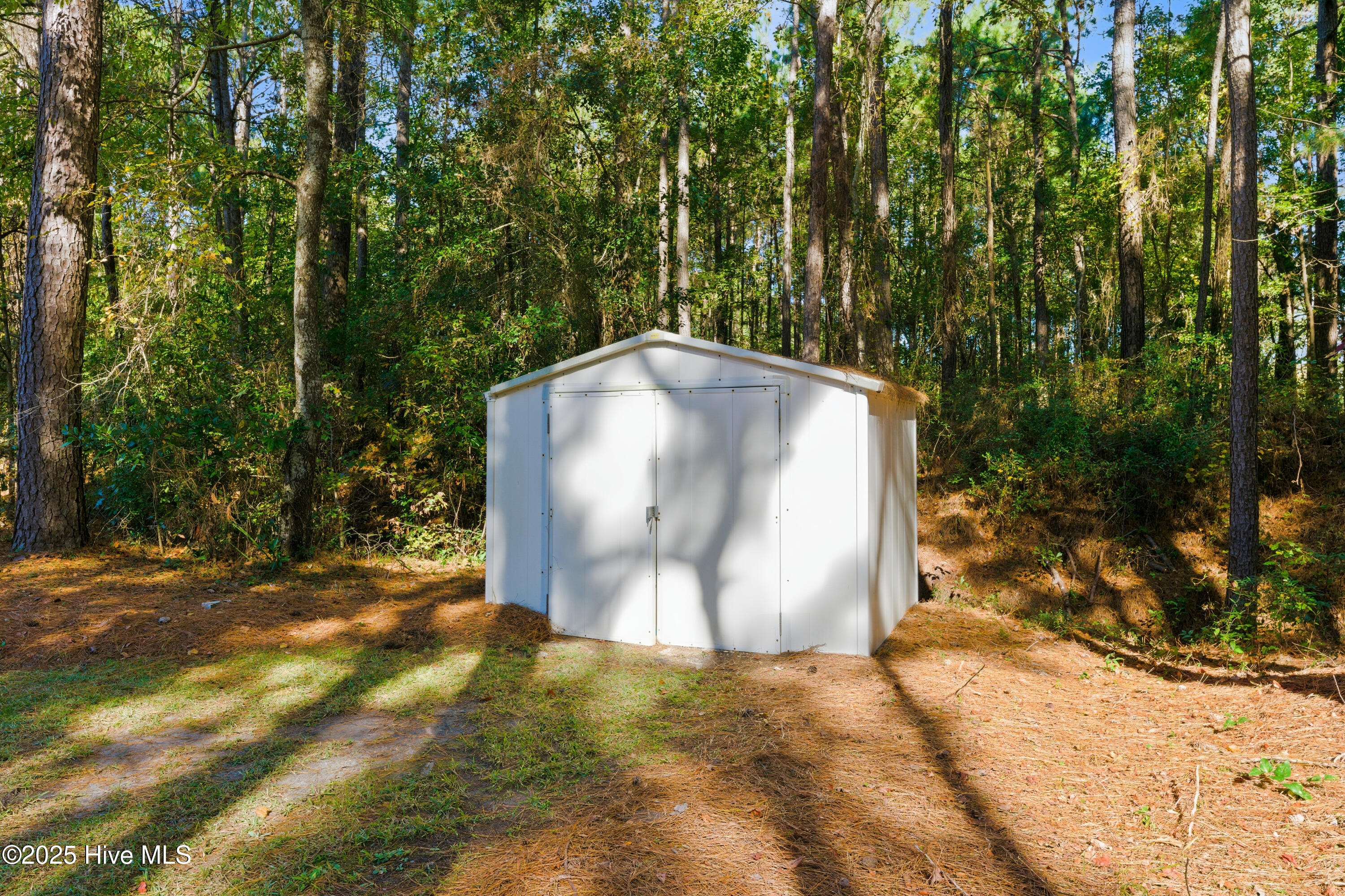 100538513 | Photo 35