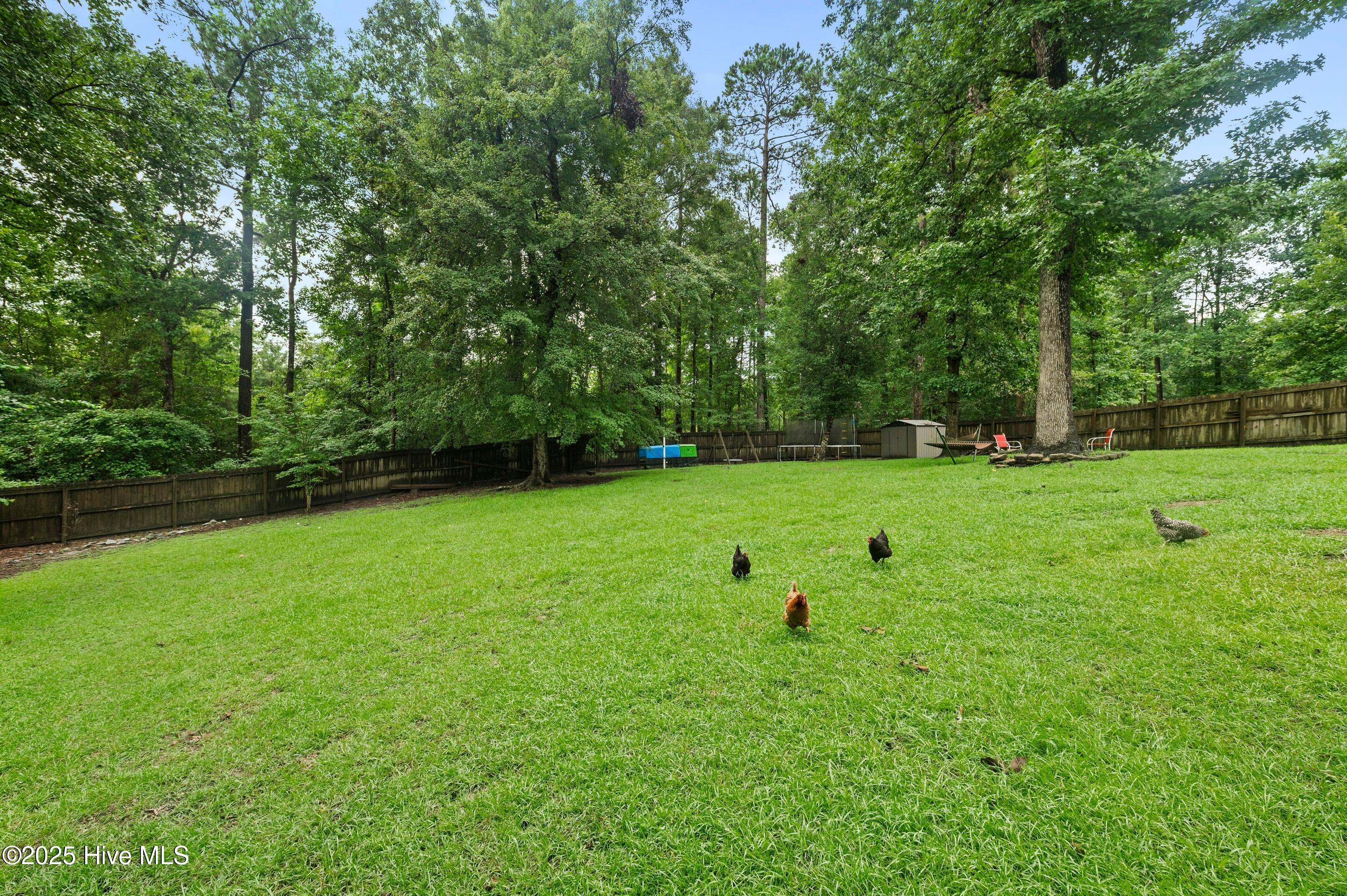 100523069 | Photo 32