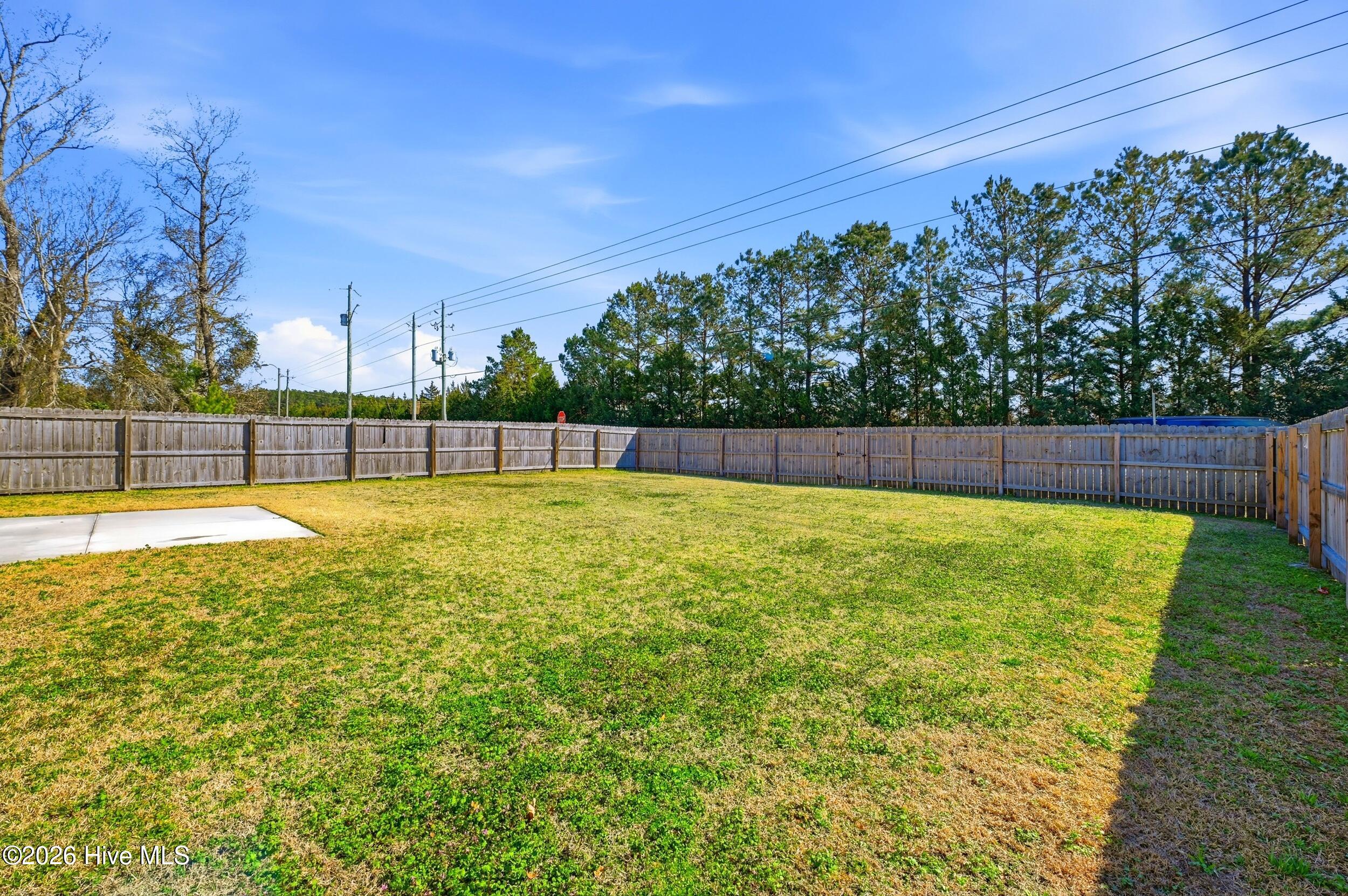 100555090 | Photo 32