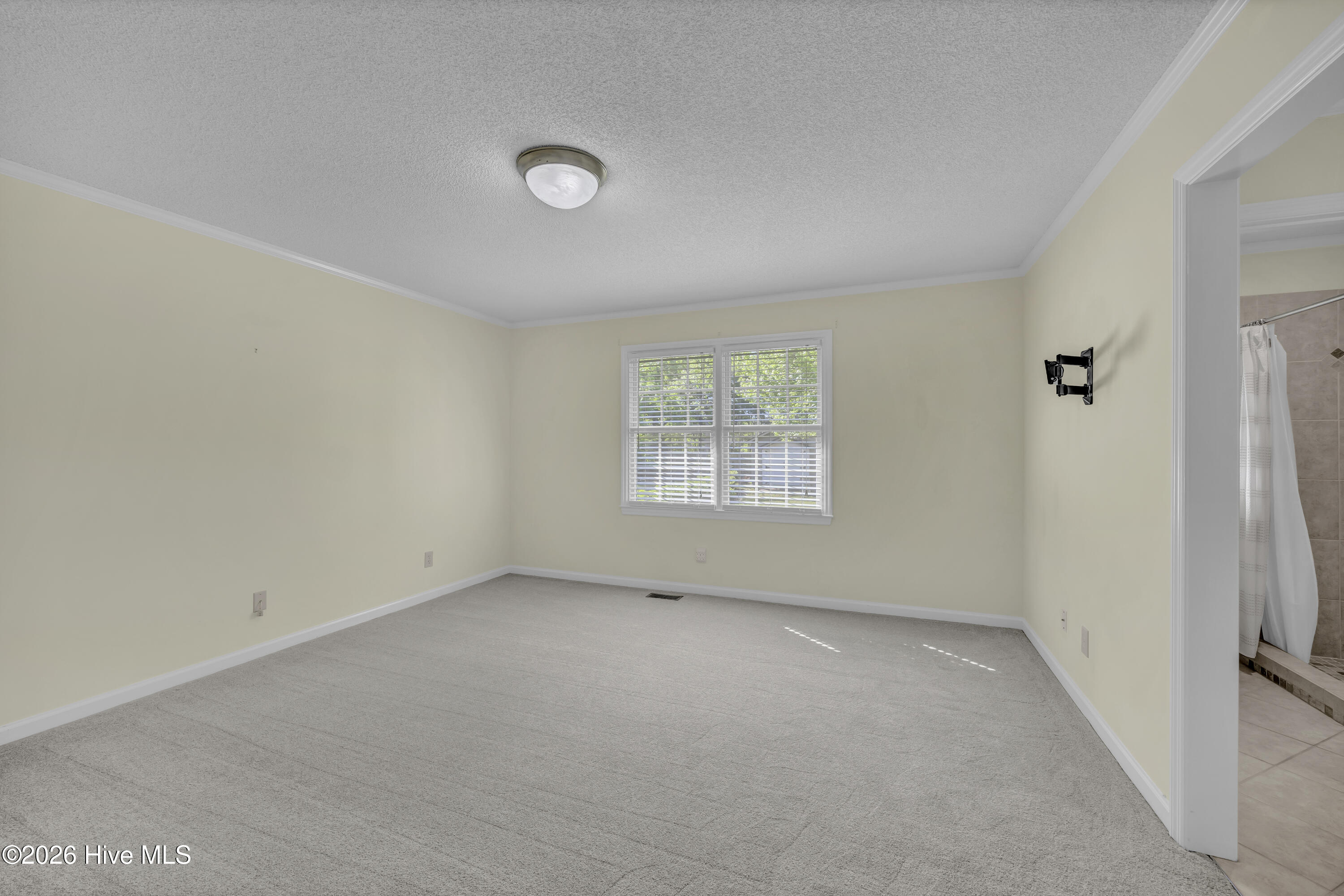 100567134 | Photo 16