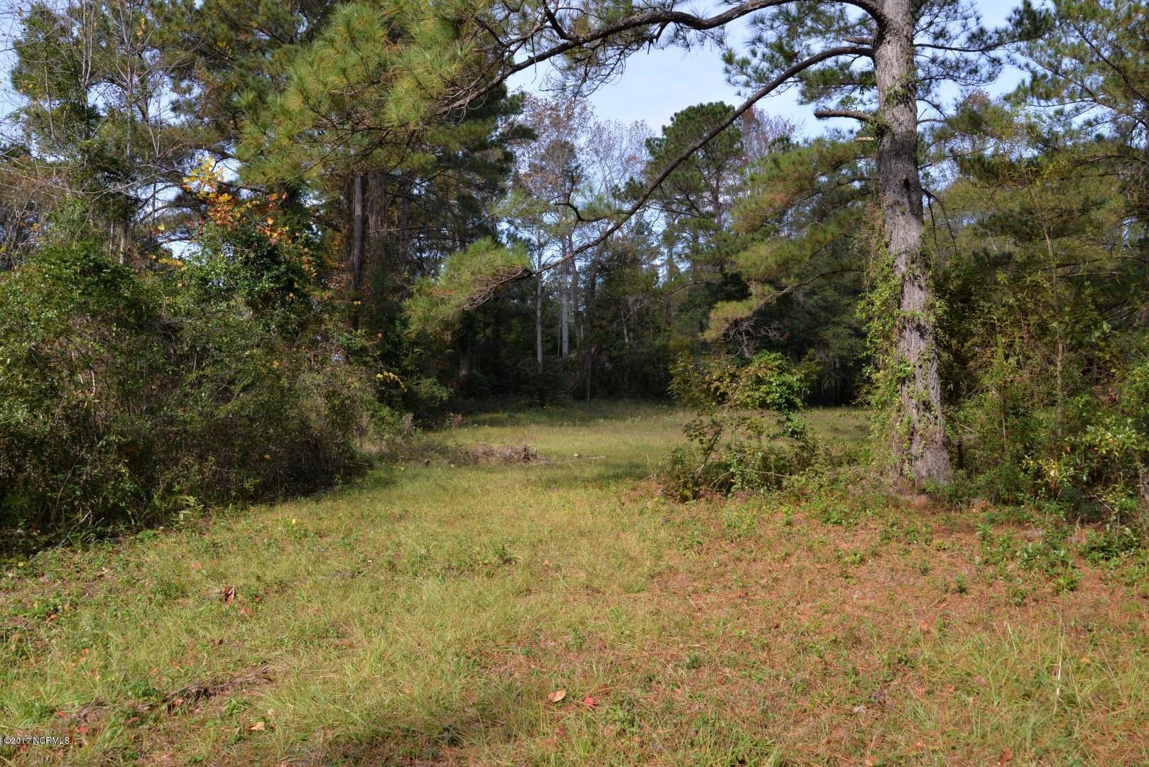 100492321 | Photo 13