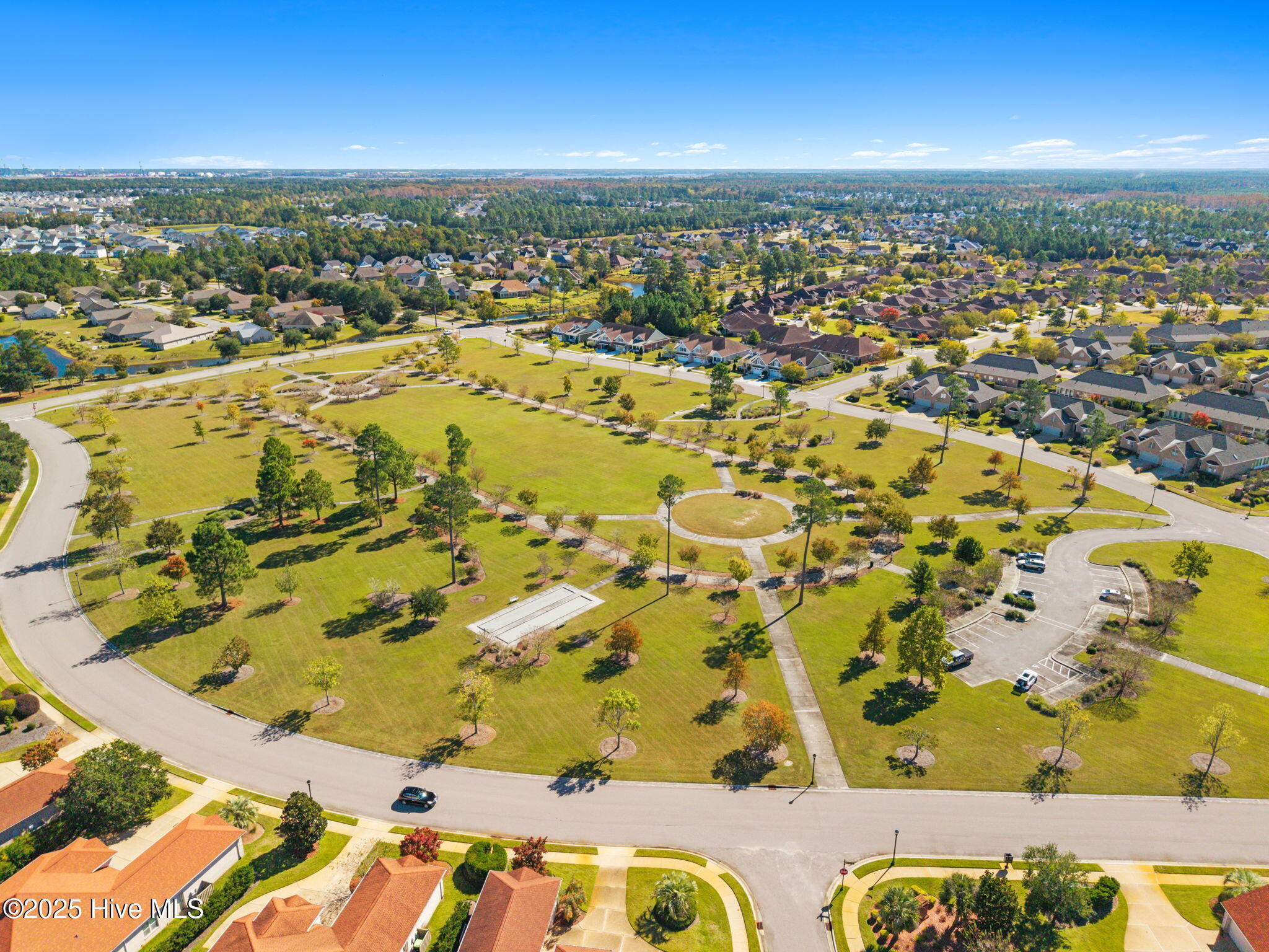 100538069 | Photo 40