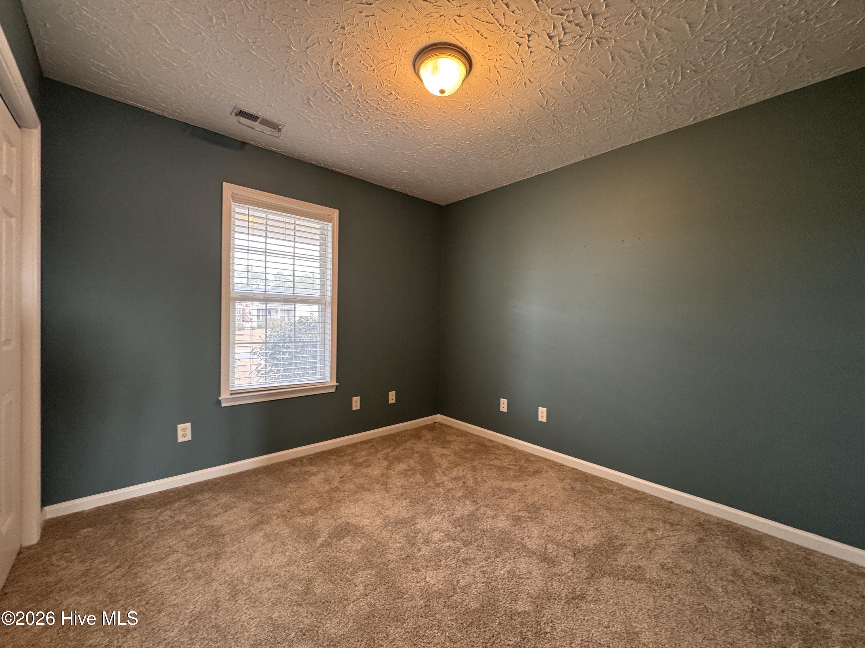 100556334 | Photo 18