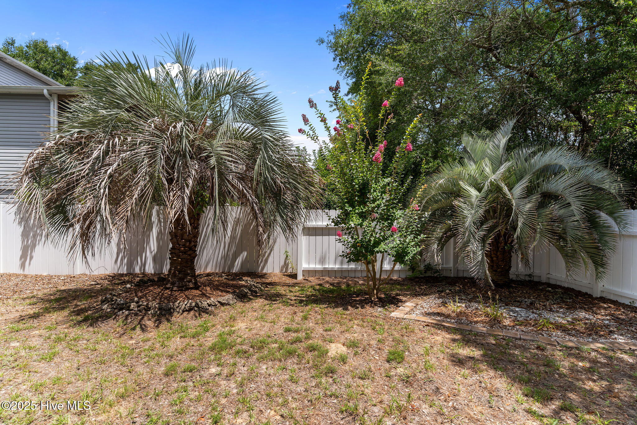 100521042 | Photo 53