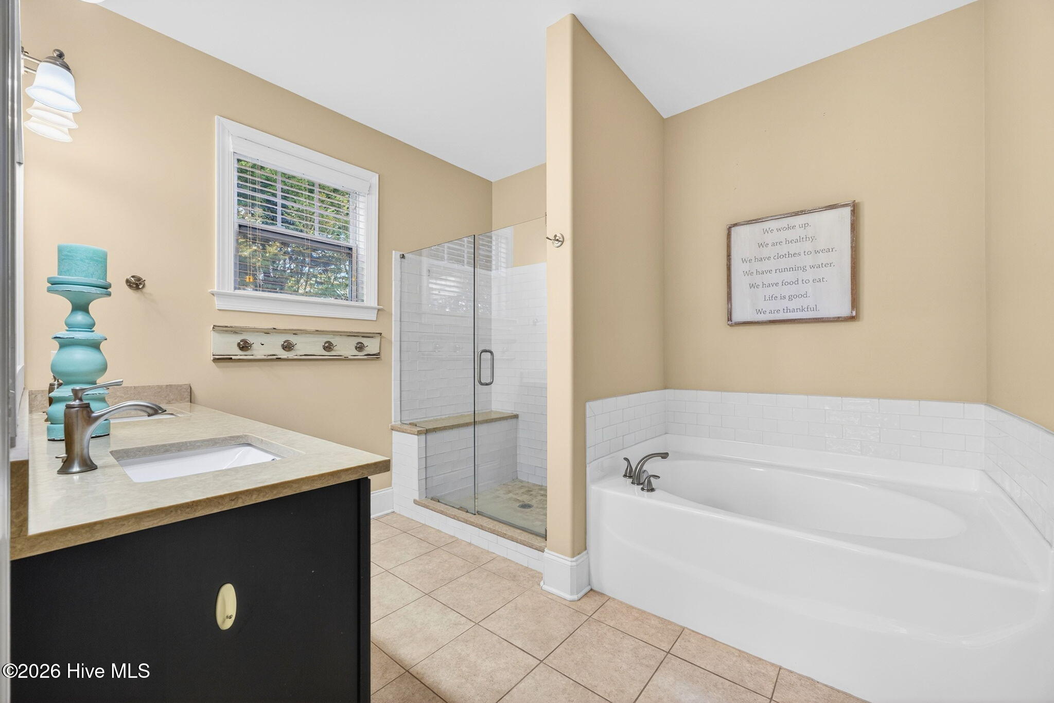 100558645 | Photo 12