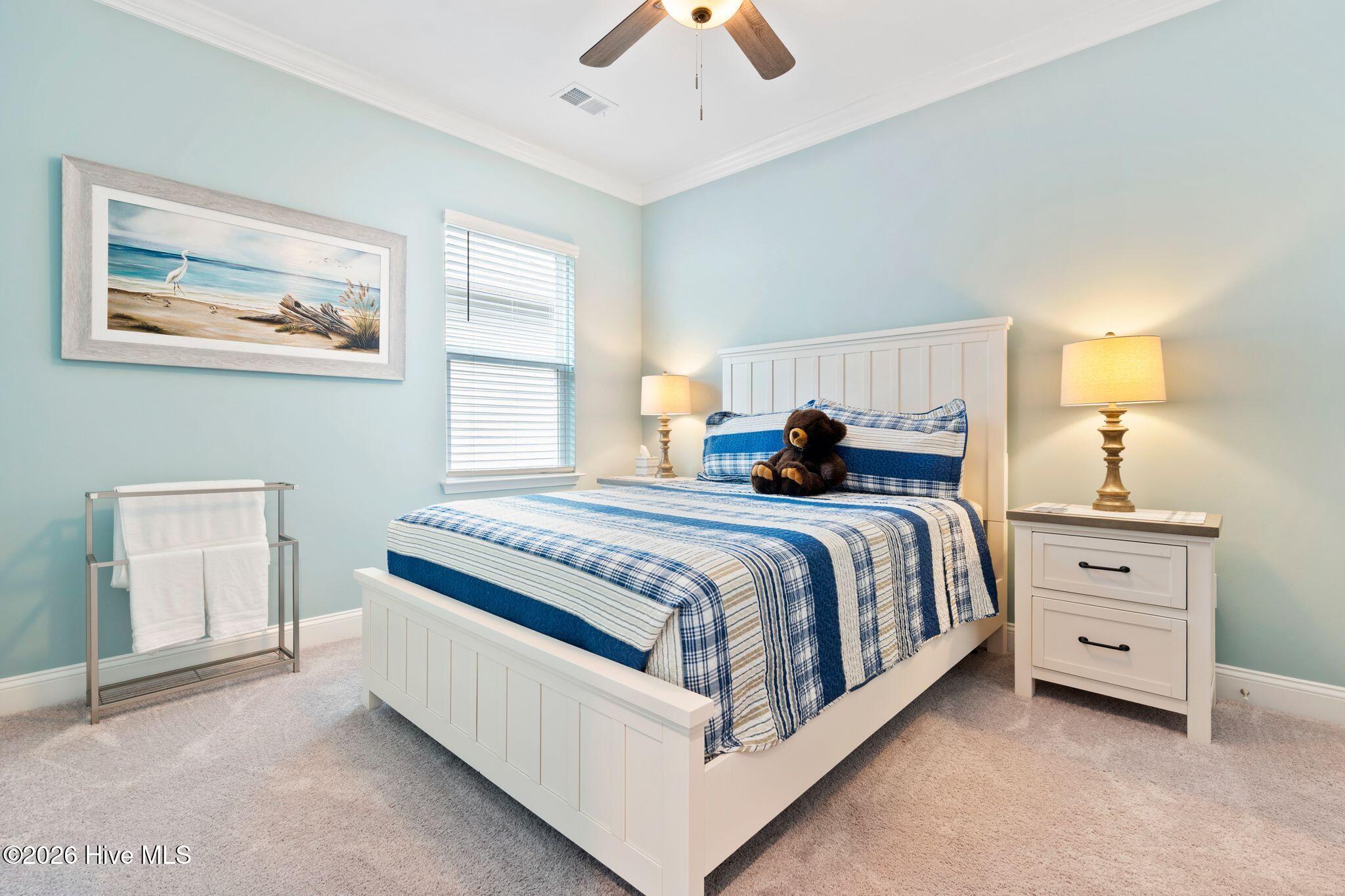 100553867 | Photo 27