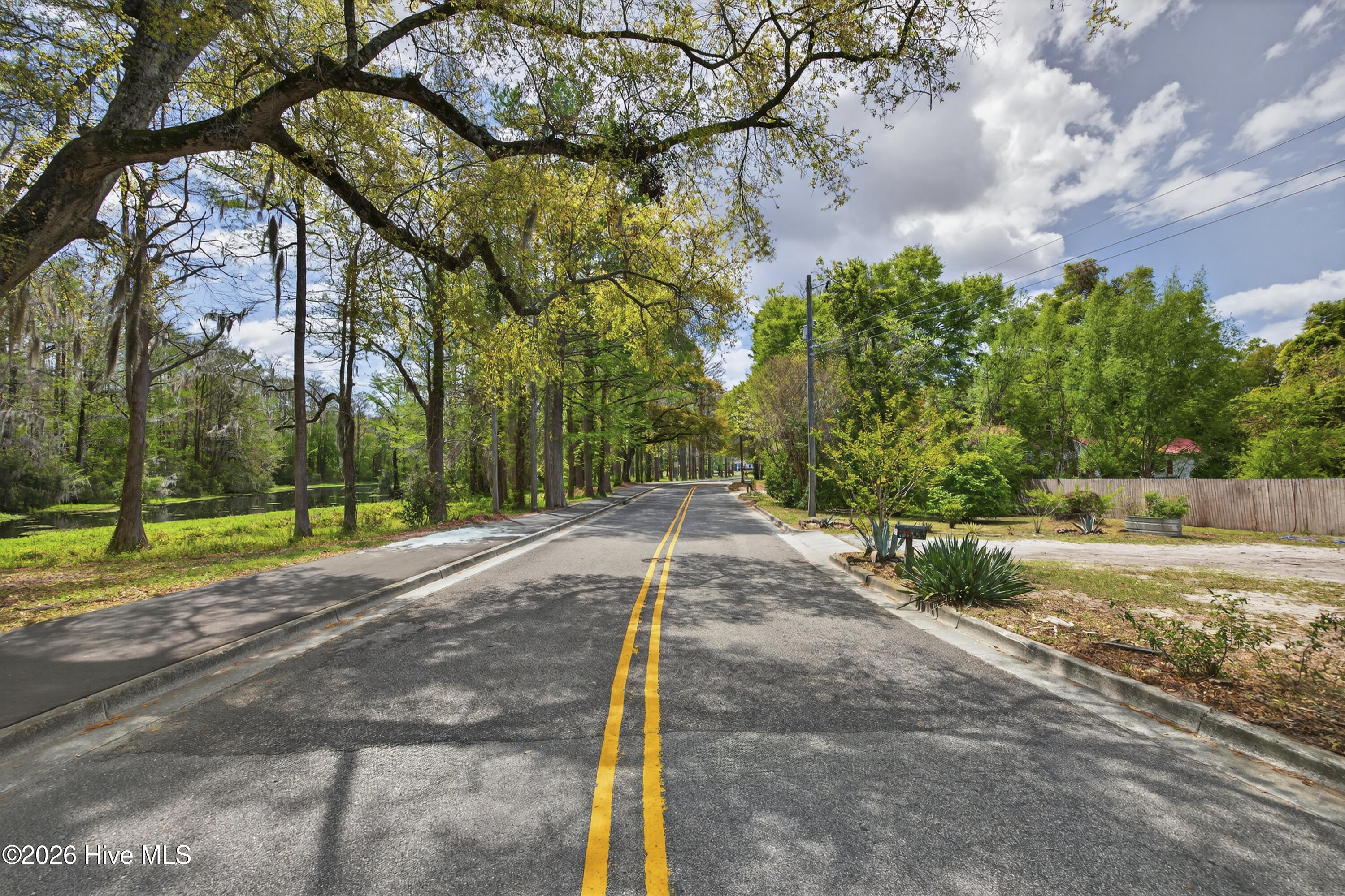 100564526 | Photo 52