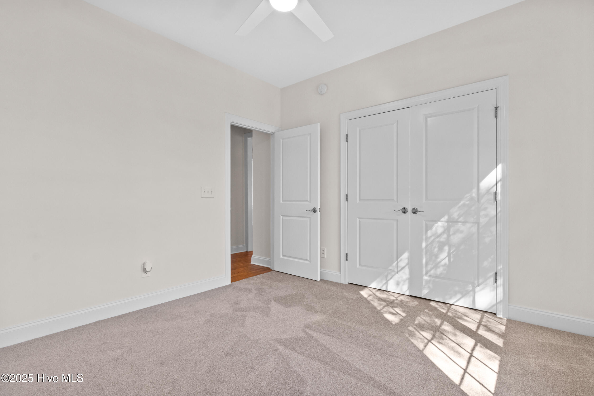 100541482 | Photo 35