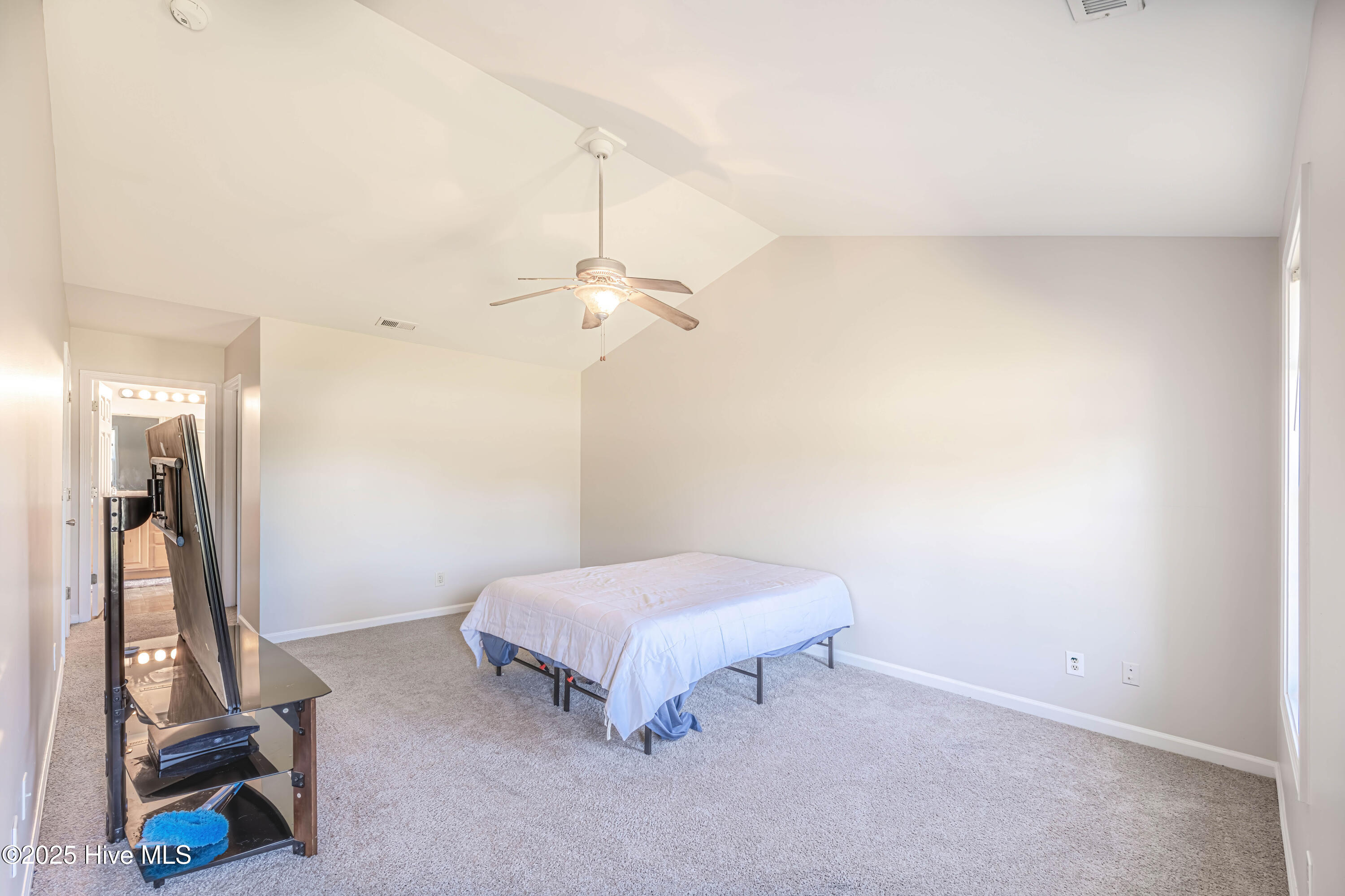 100521168 | Photo 21