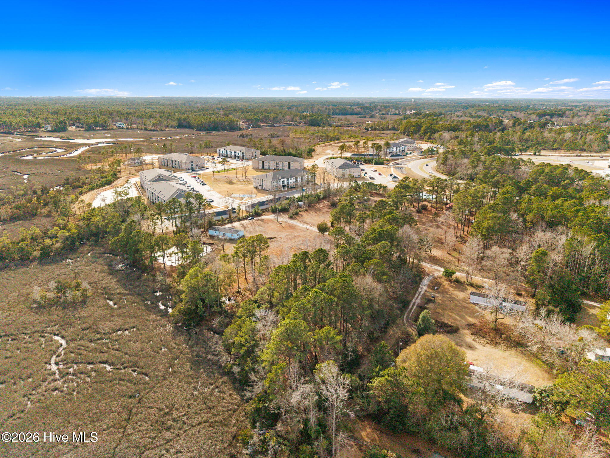 100552116 | Photo 10