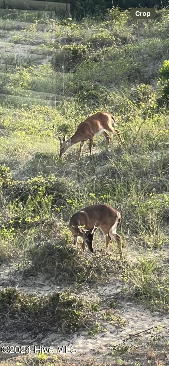 100526759 | Photo 85