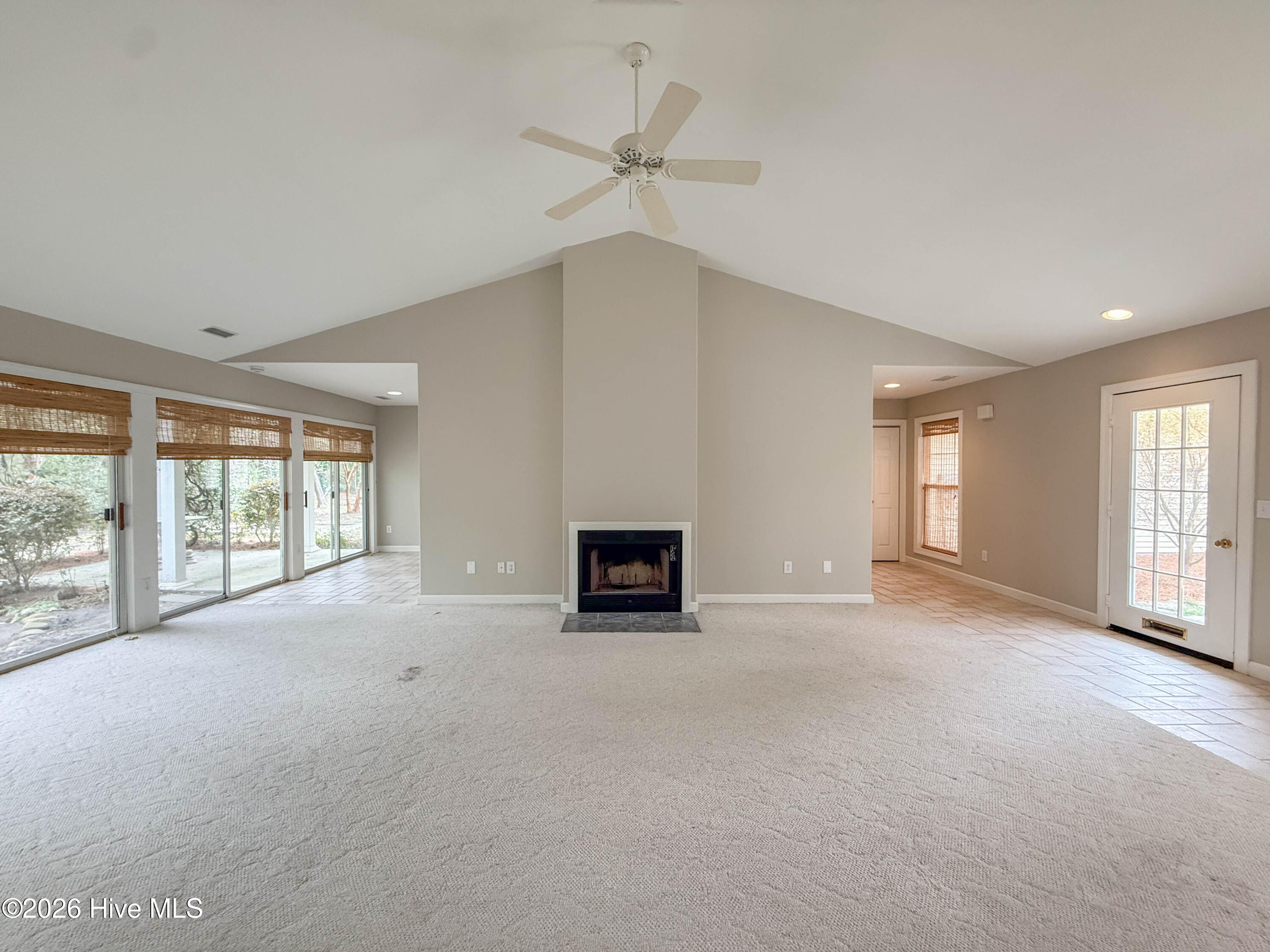 100562741 | Photo 11