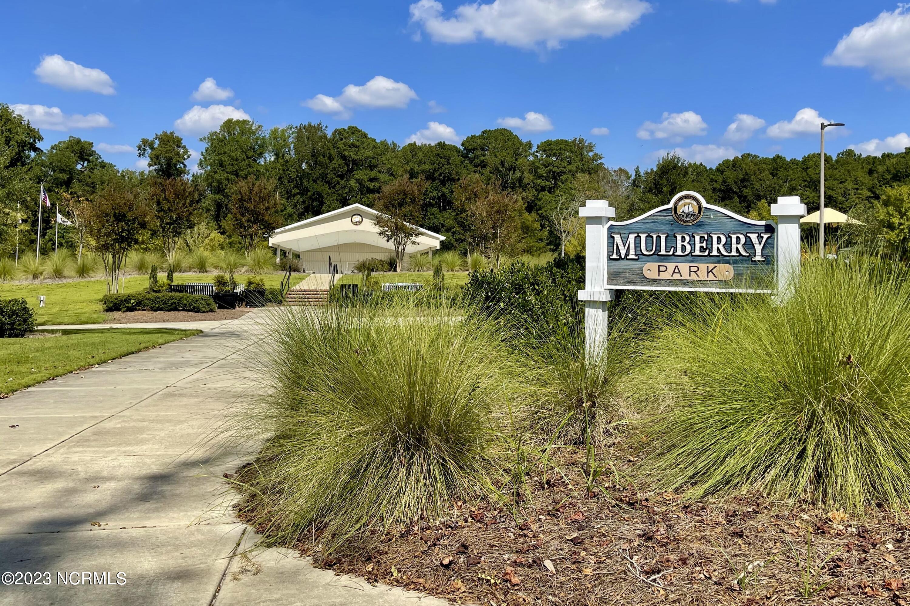 100522221 | Photo 35