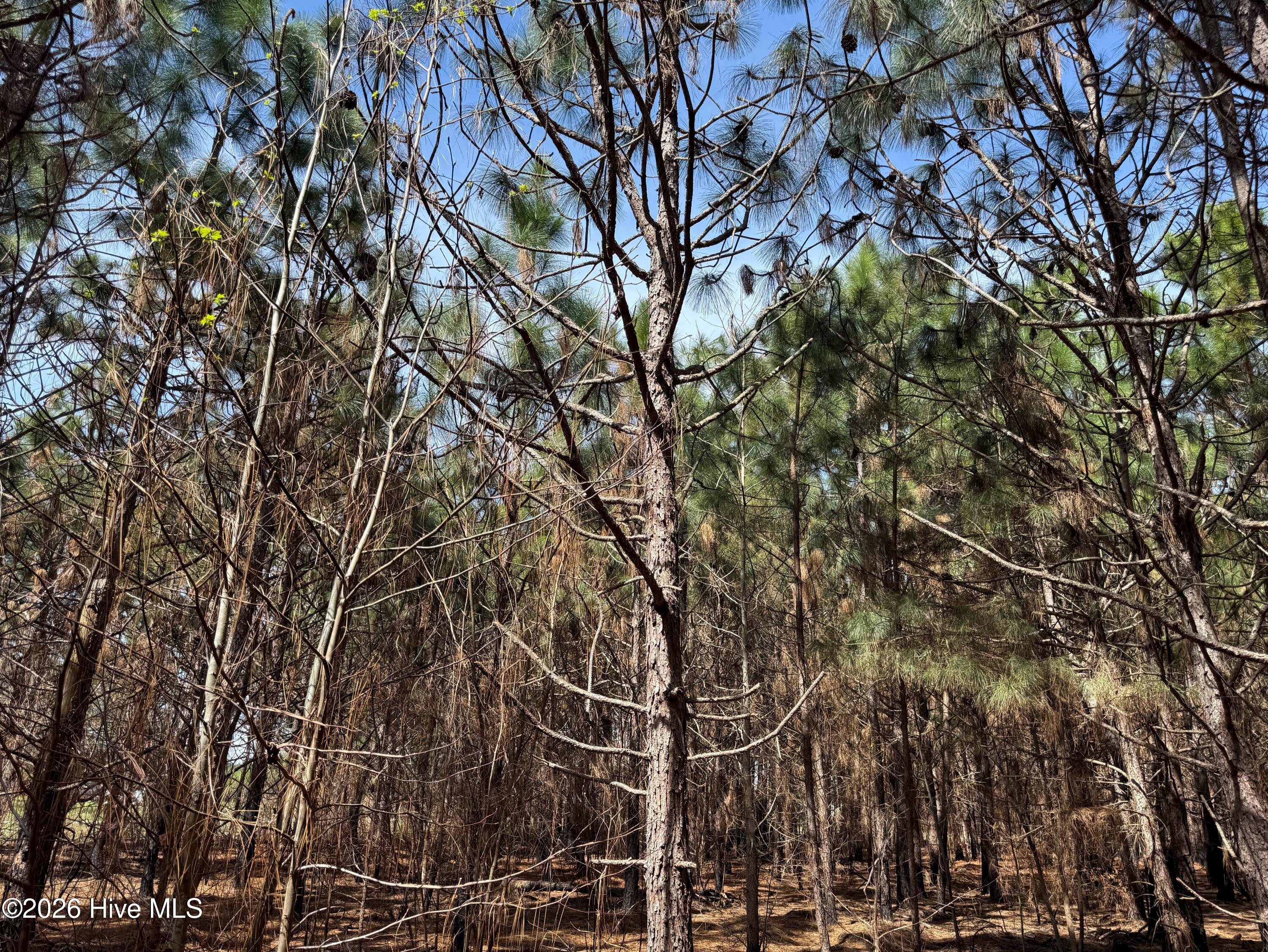 100560557 | Photo 34