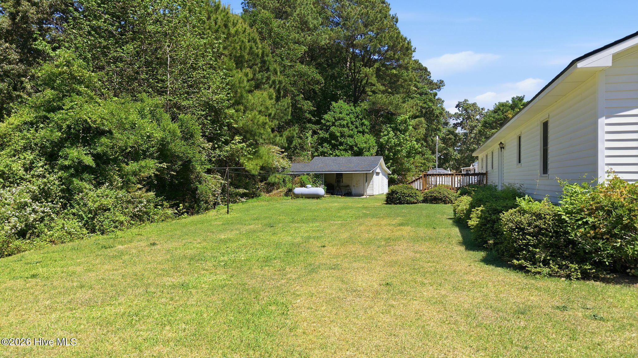 5-BackYard