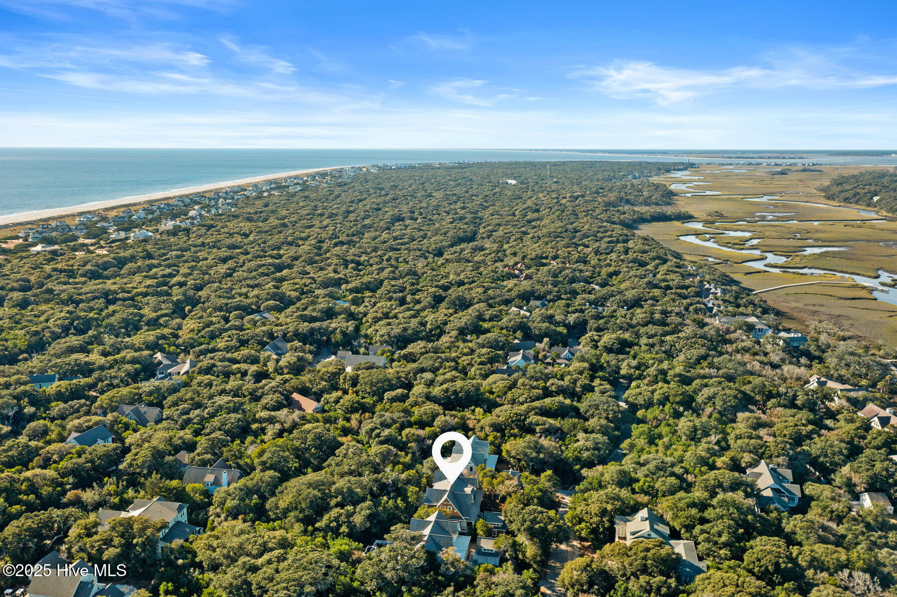 100401243 | Photo 94