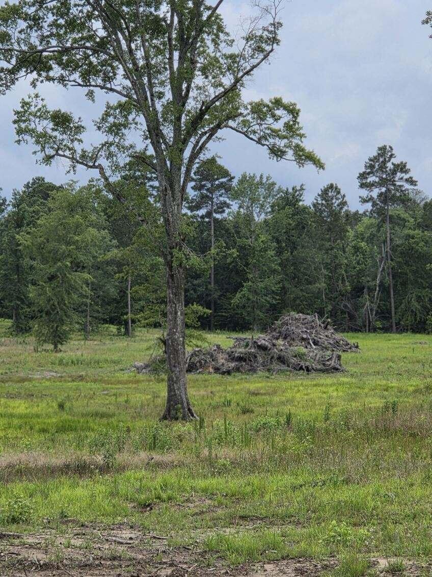 365 Shagbark Way, Harlem, GA, 30814