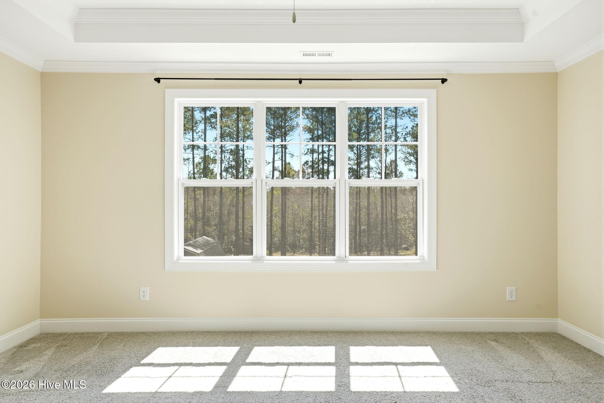 100562109 | Photo 42